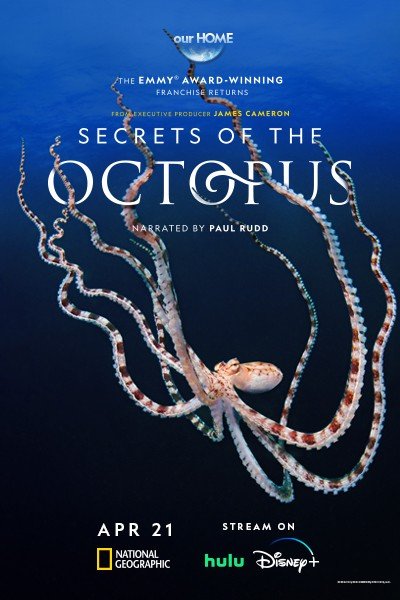 Secrets of the Octopus