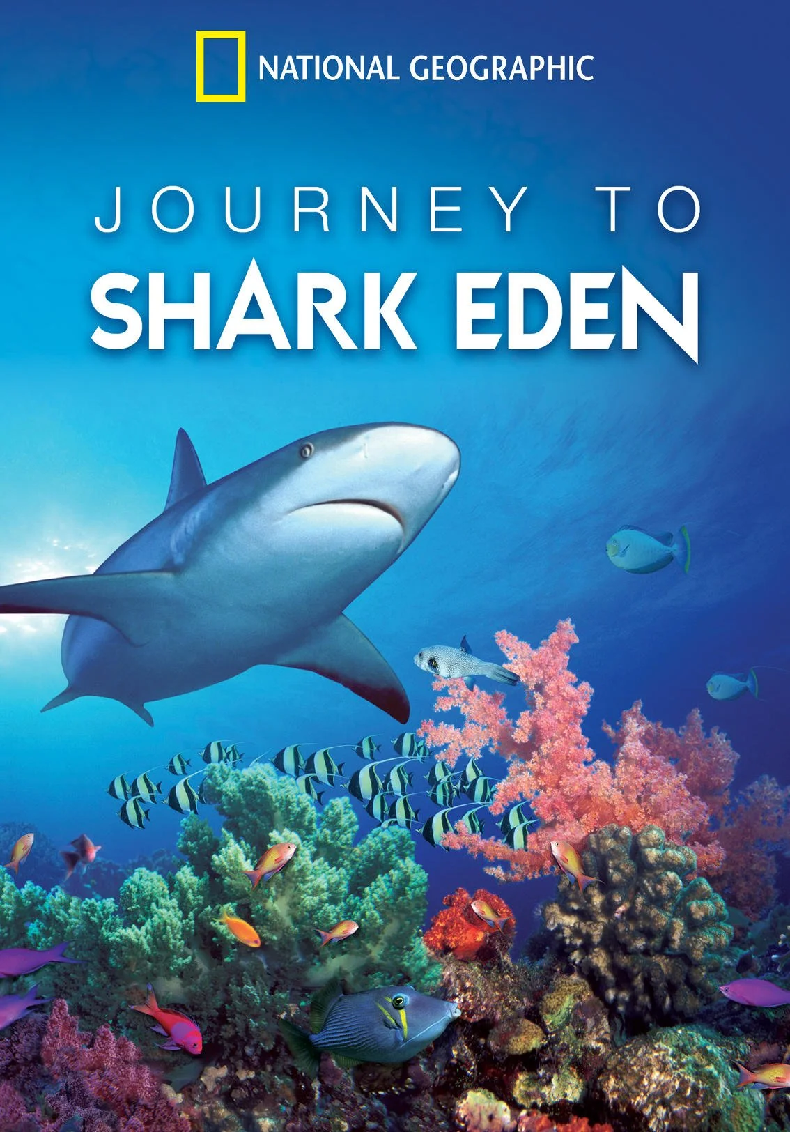 Journey to Shark Eden