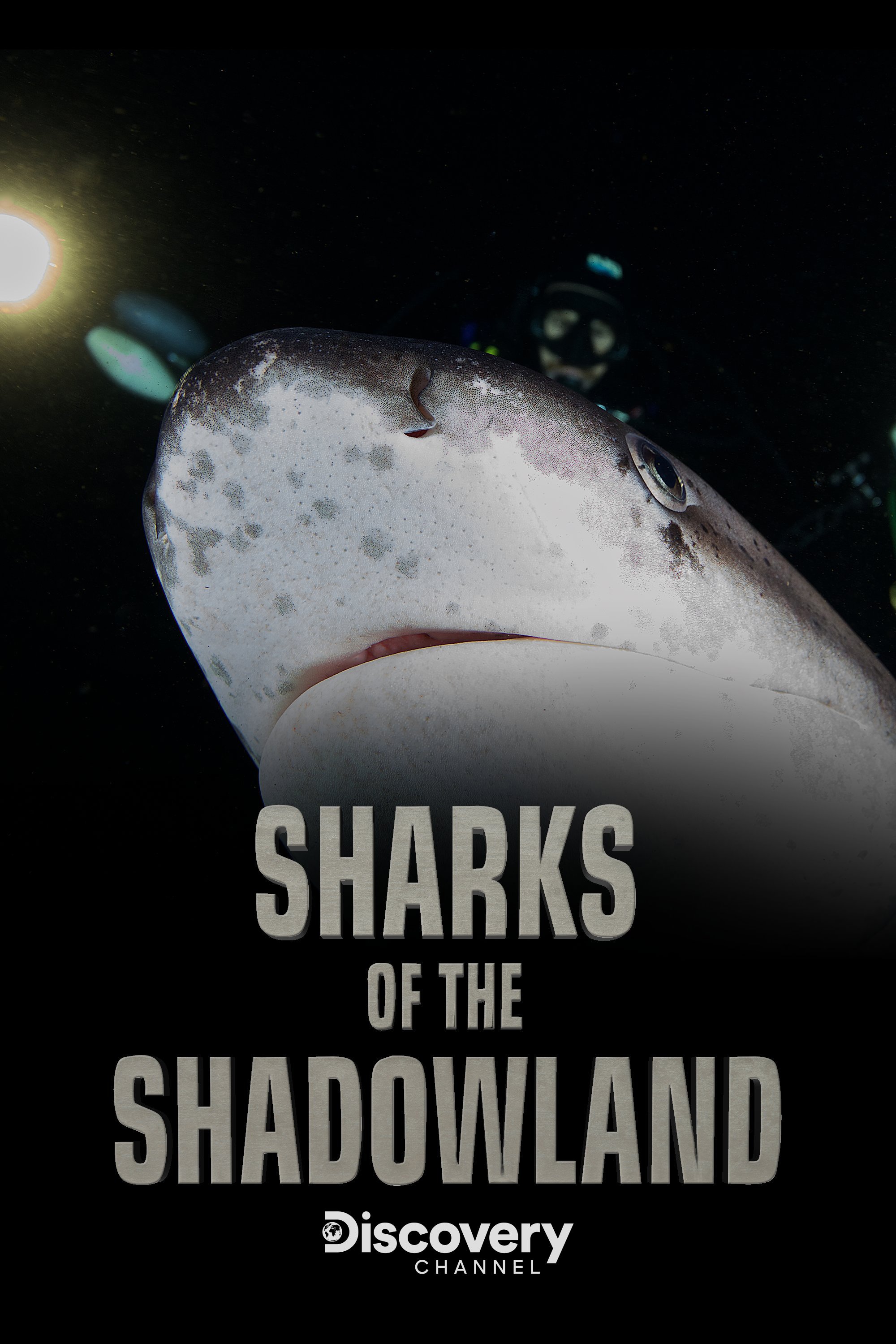 Sharks of the Shadowland