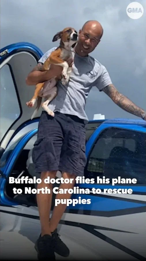 puppyrescue0.jpg