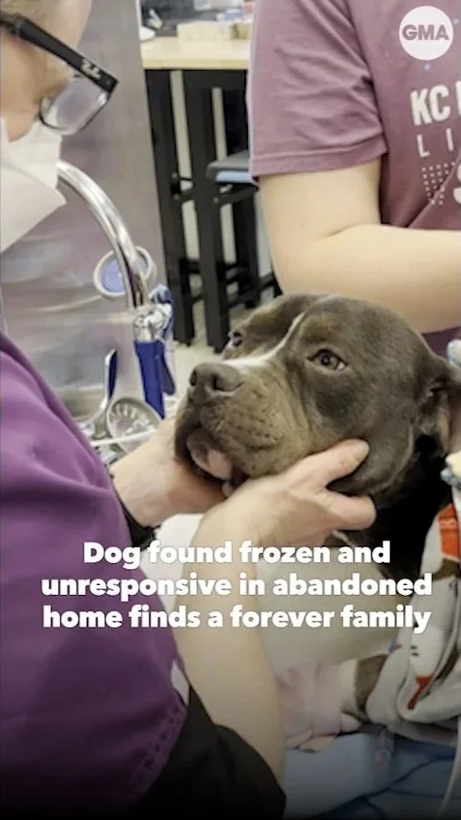rescue0.jpg