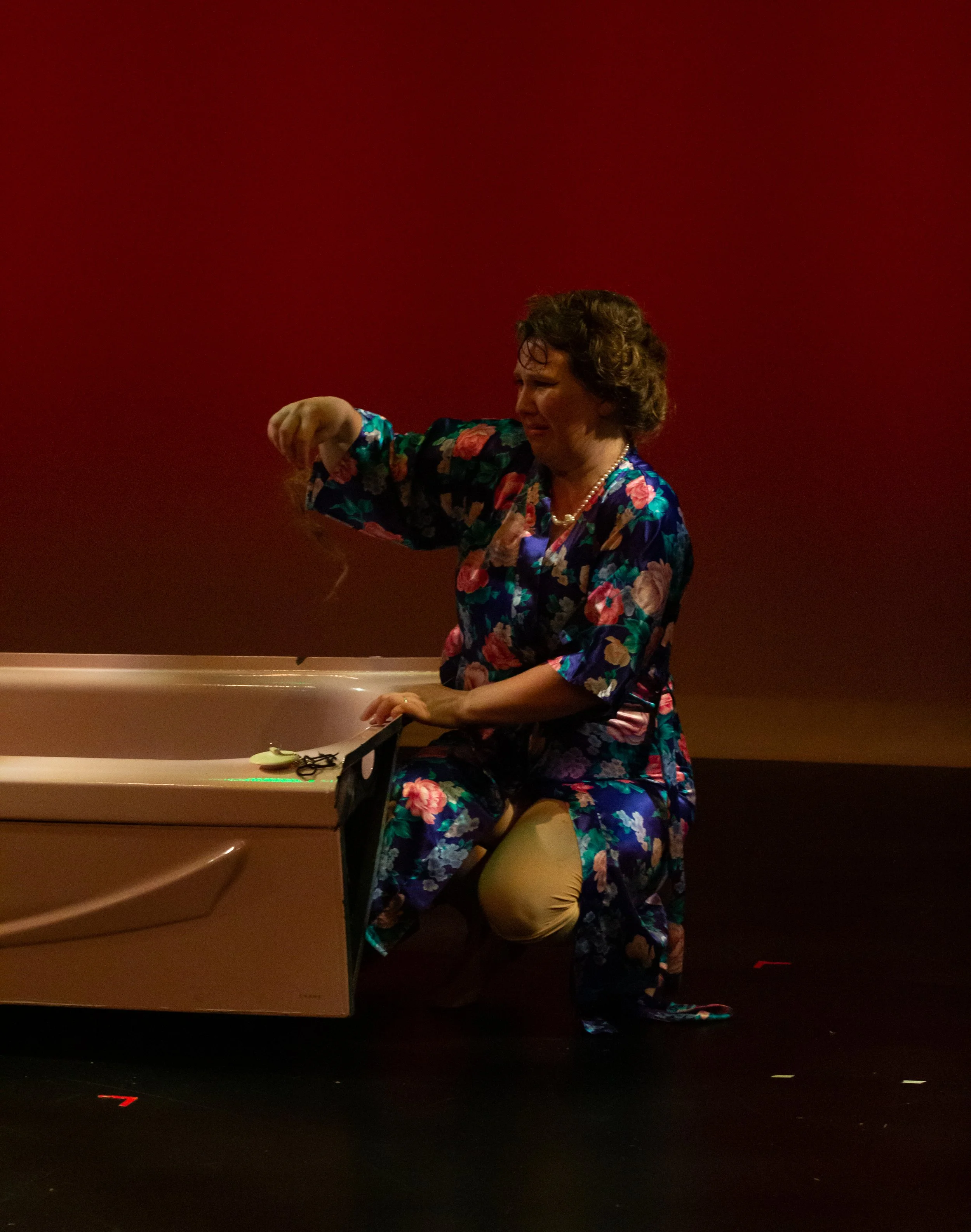 Domesticated Dispute-76.JPG