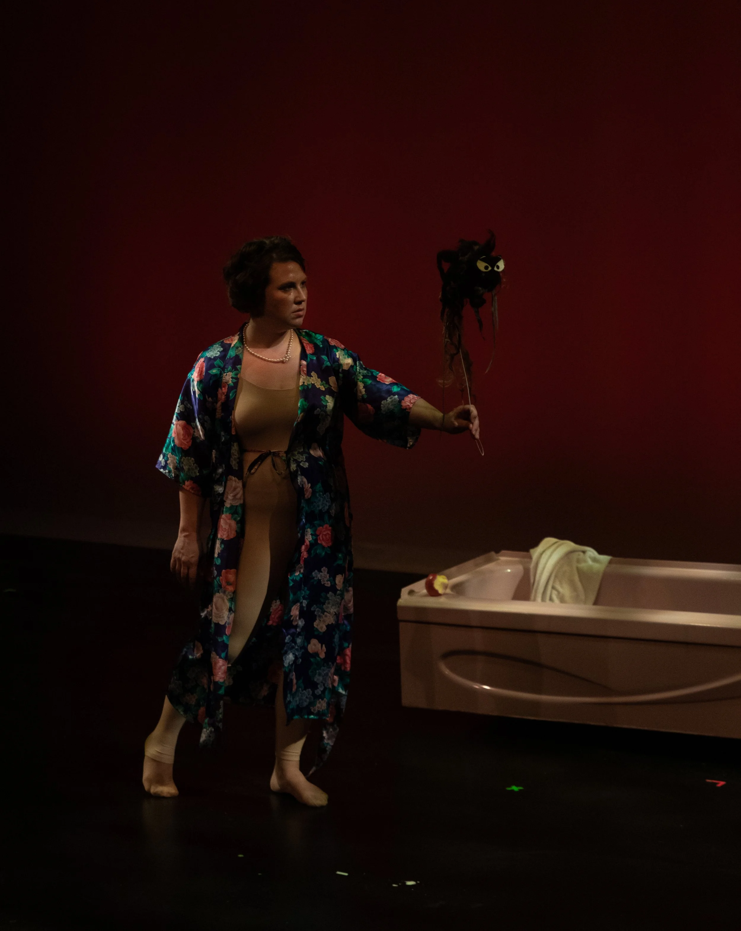 Domesticated Dispute-13.JPG