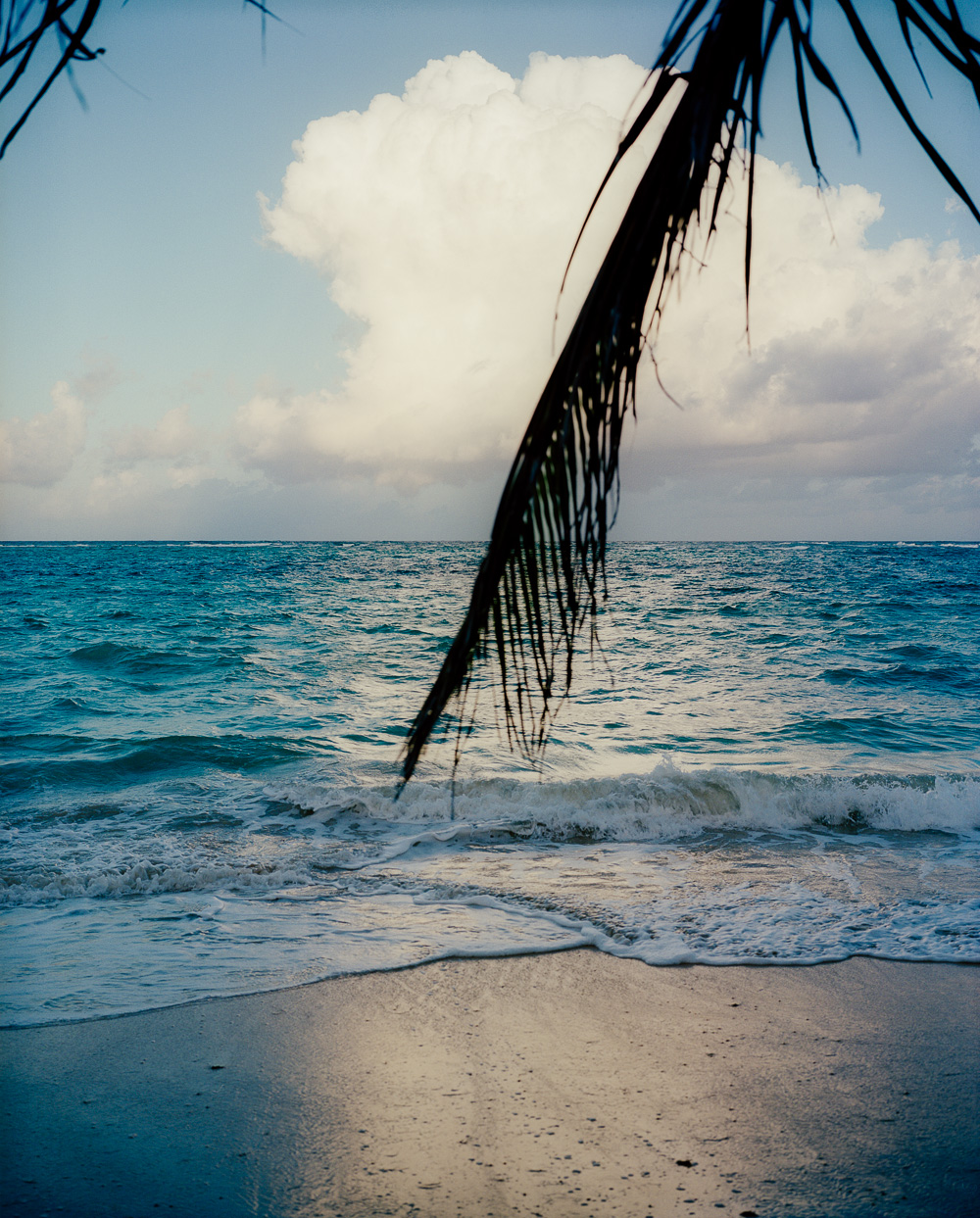 13KBialous-20130104-4772-10_o.jpg
