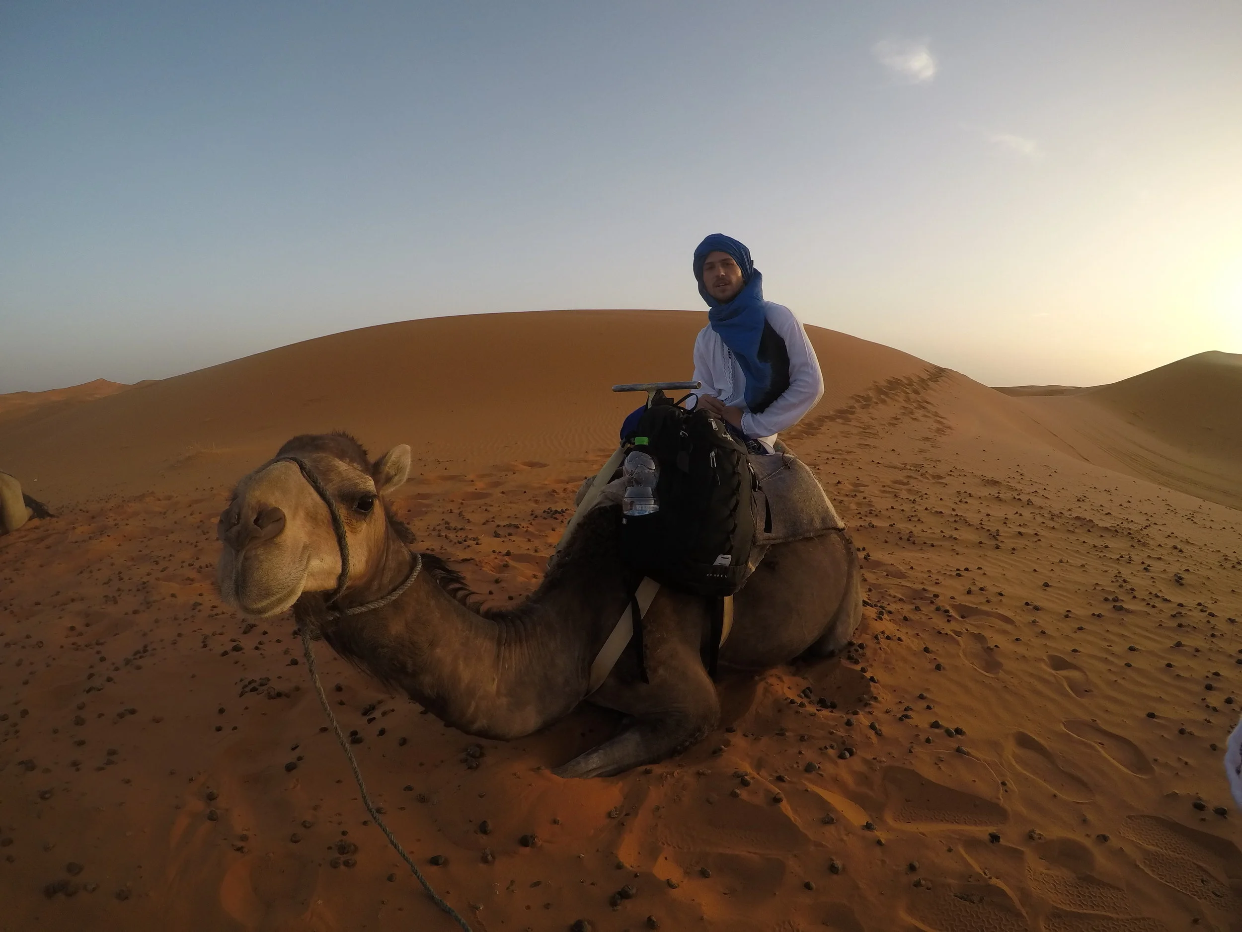  Riding a camel in the Sahara 