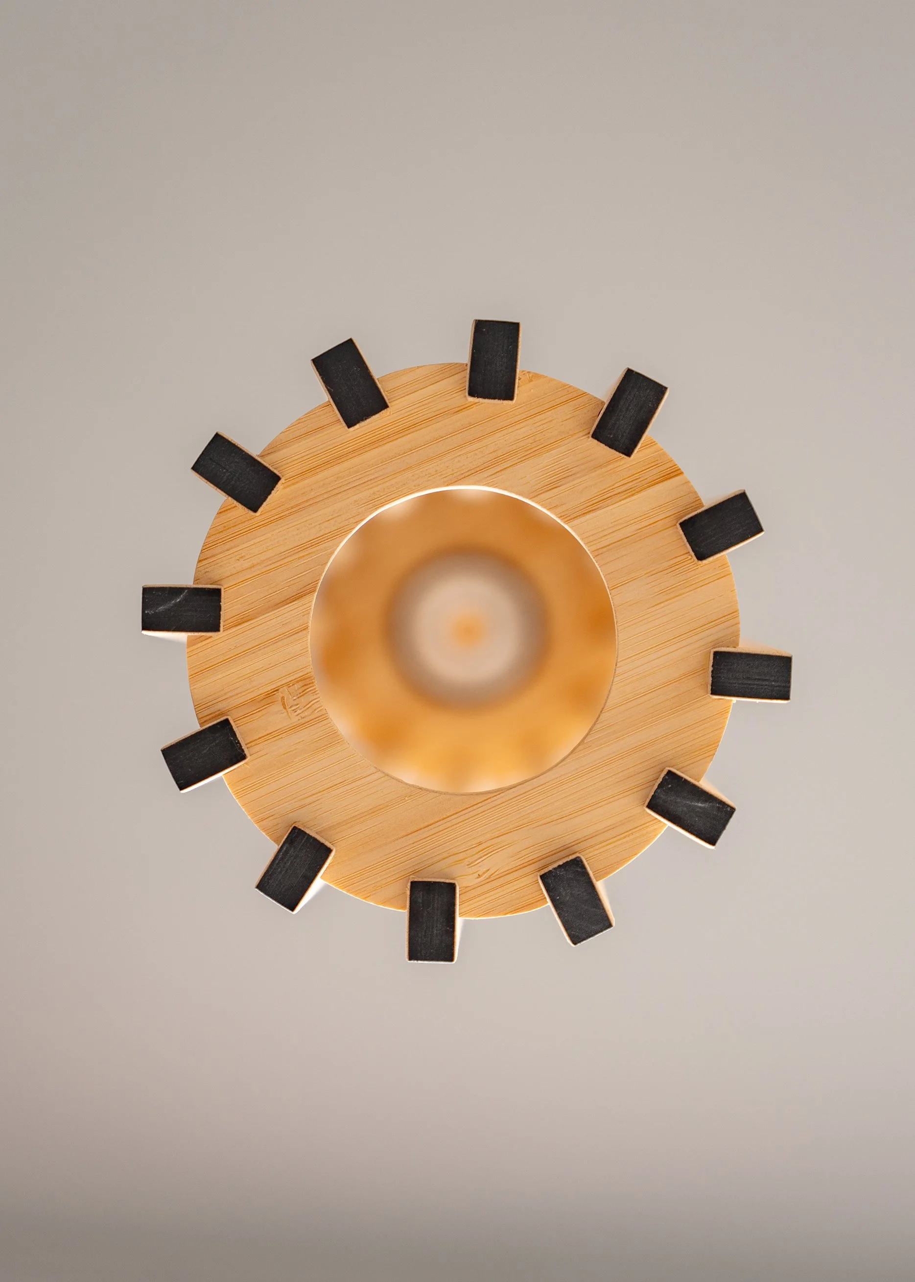 Ponga Pendant LED Light