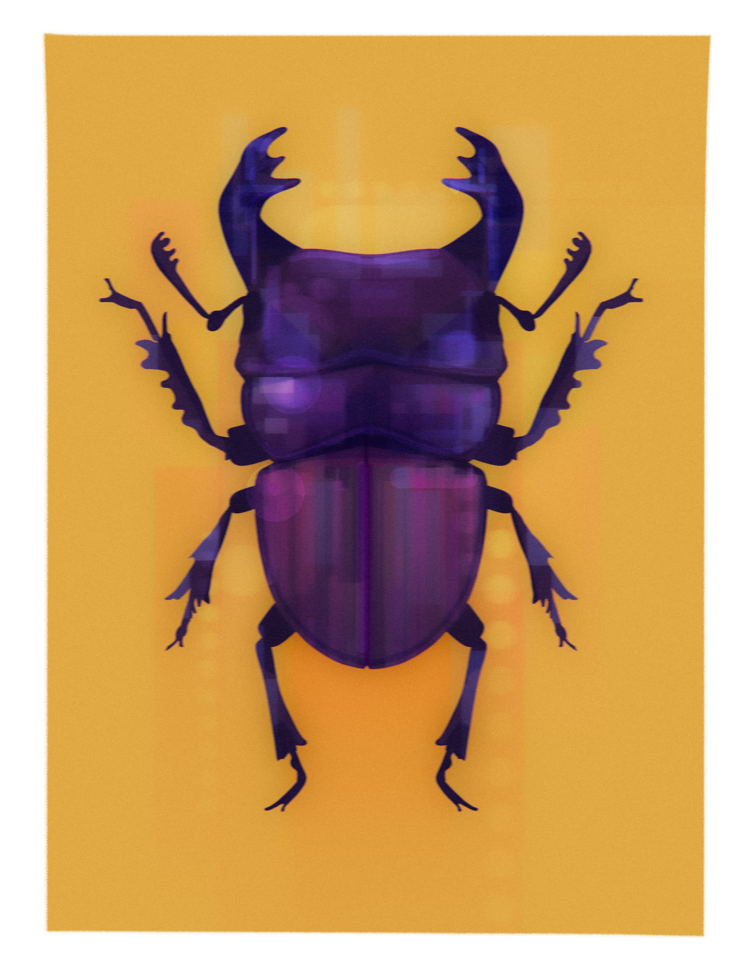 beetle.png
