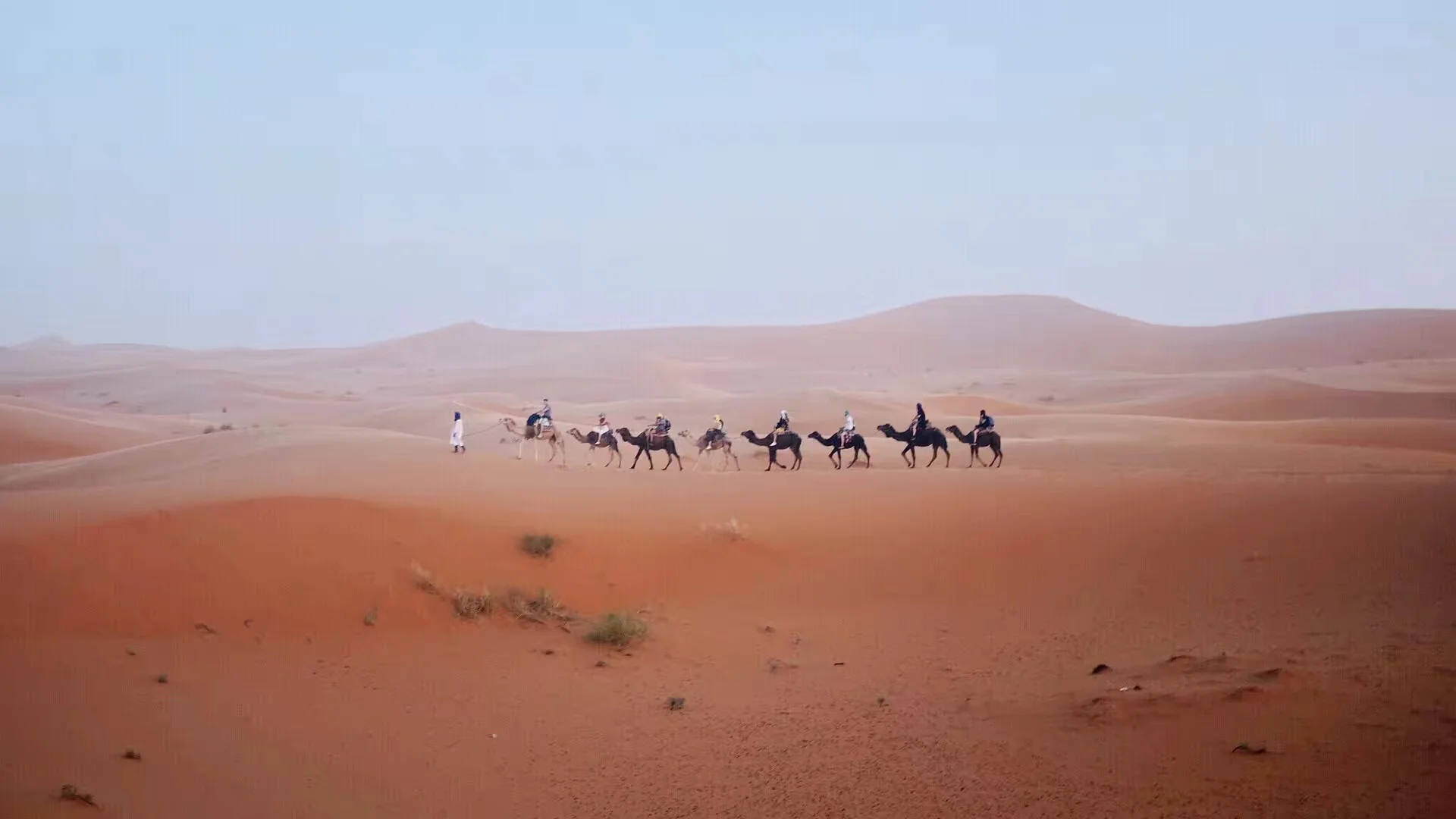 the Sahara Desert