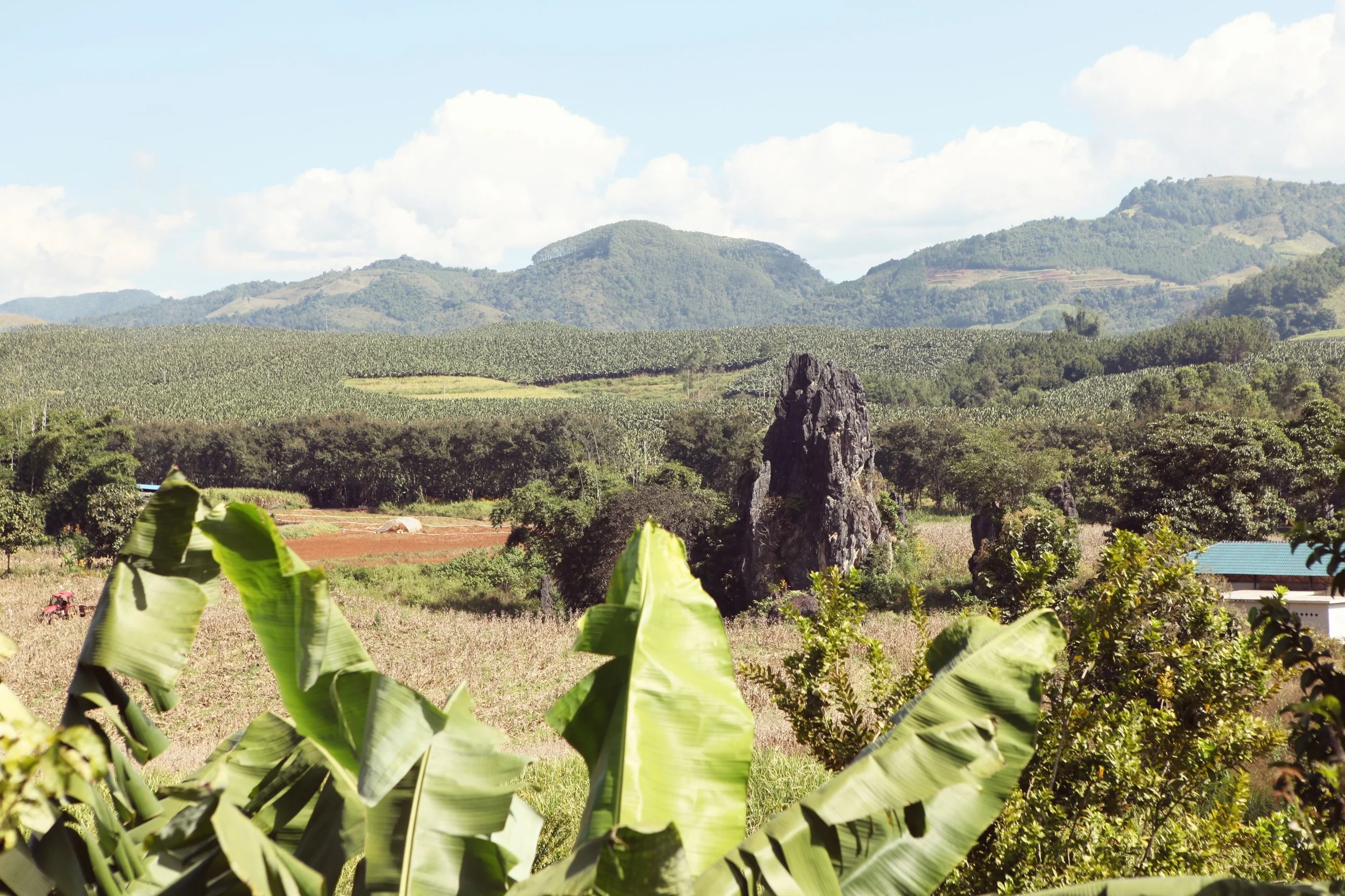 amazing view of Fuyan Farm