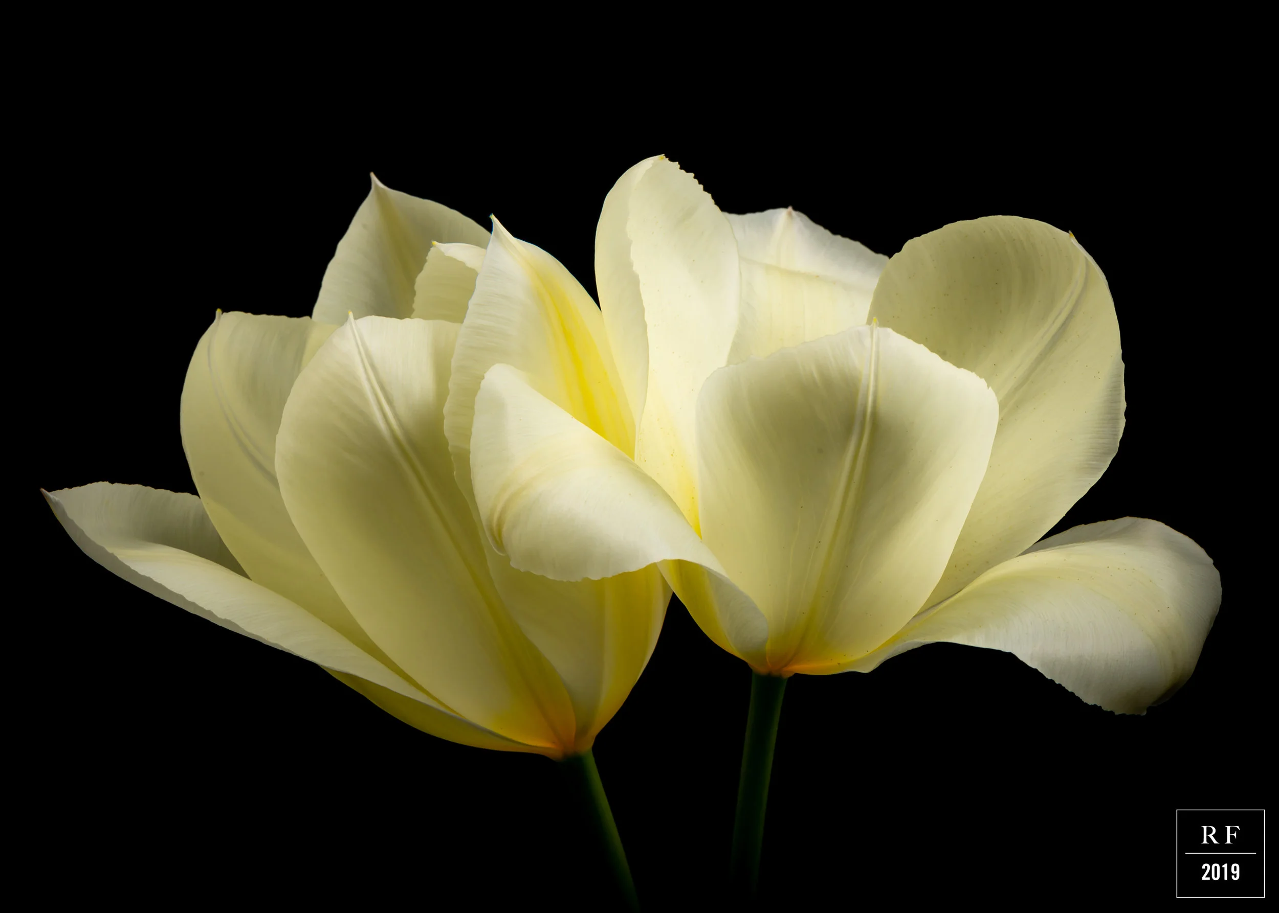 _DSC7684-Enhanced.jpg