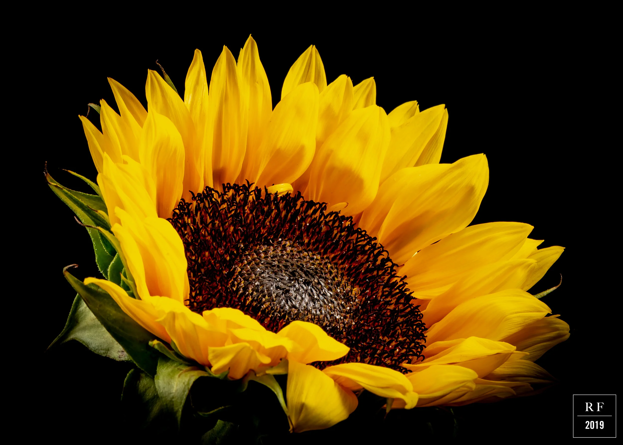 _DSC7745-Enhanced.jpg