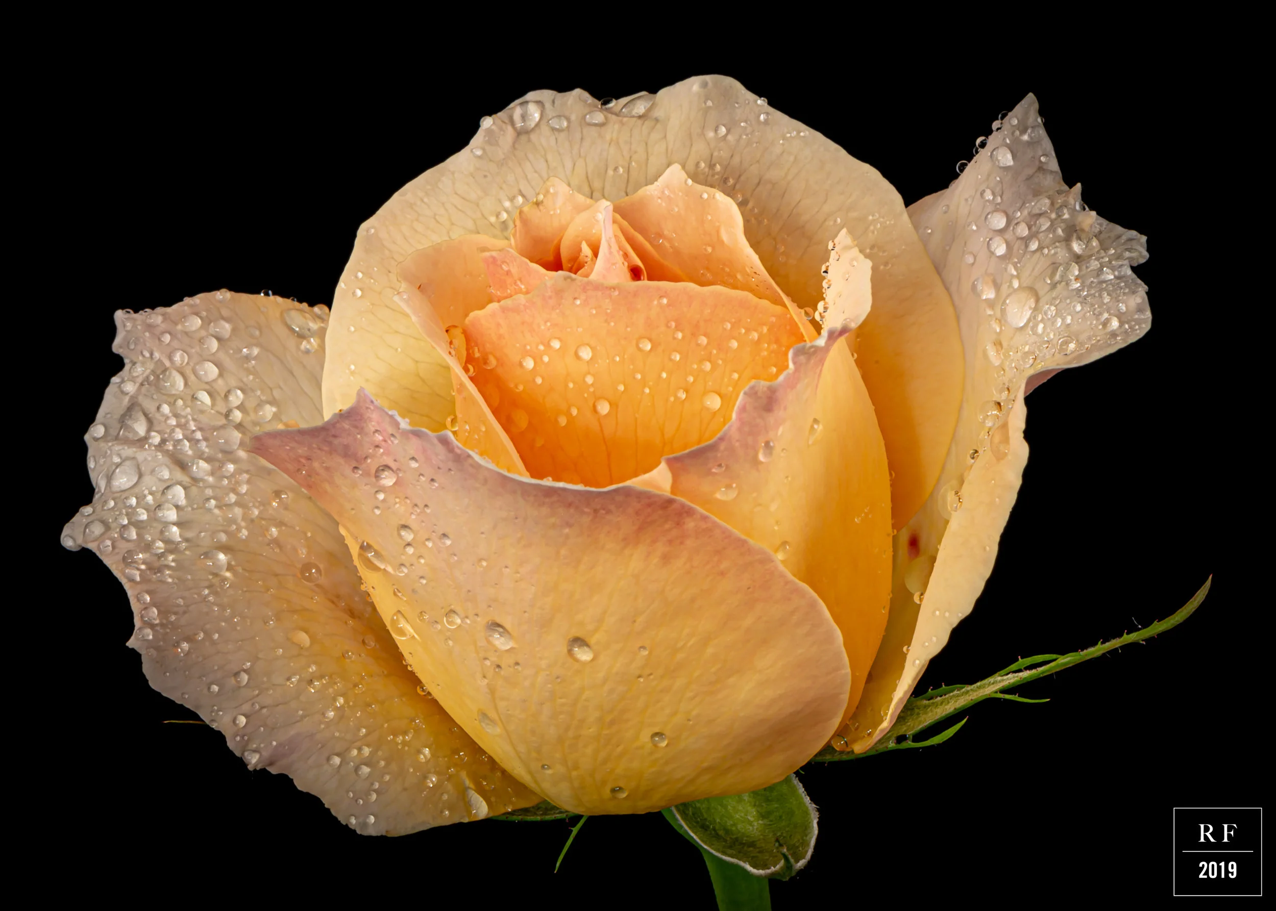 _DSC8030-Enhanced.jpg