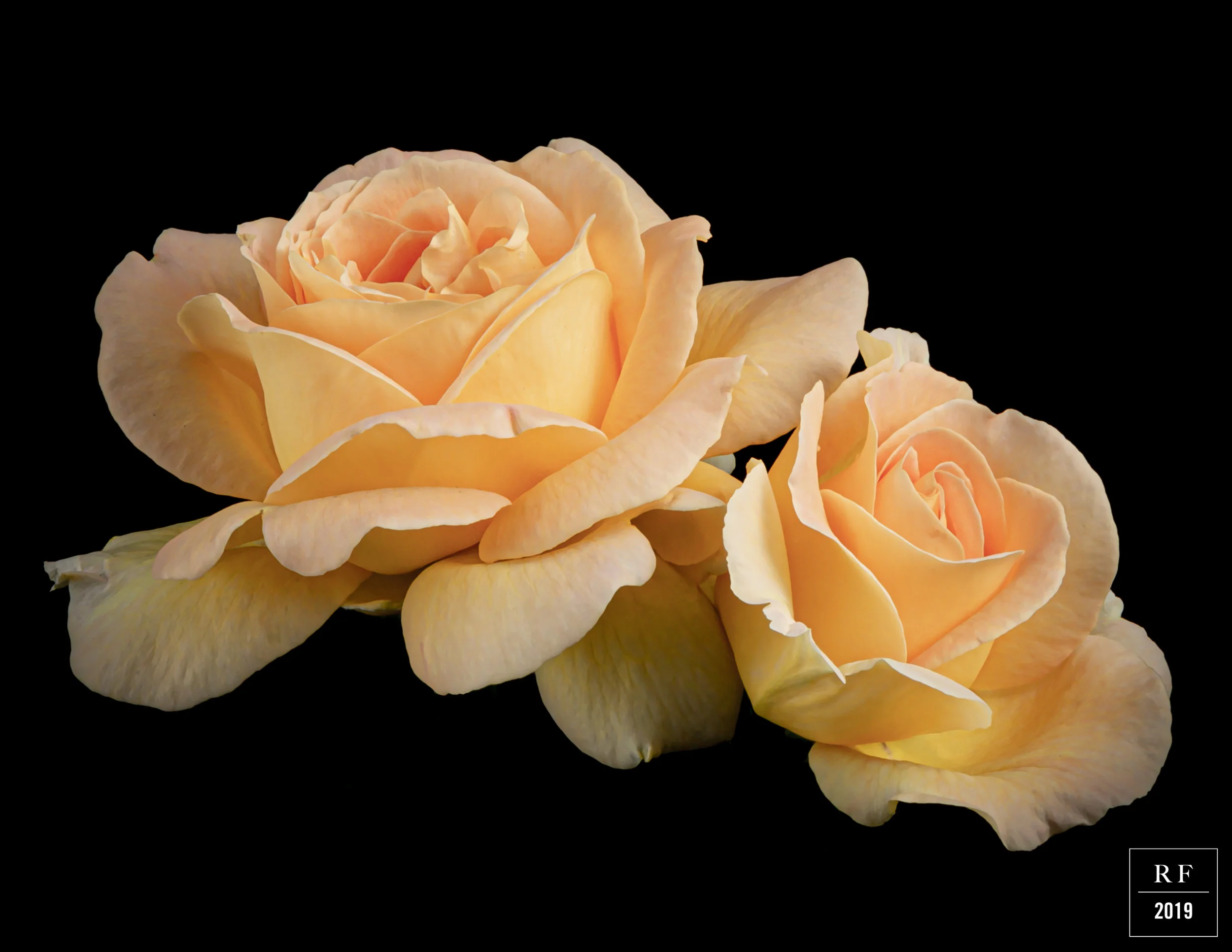 _DSC8085-Enhanced.jpg