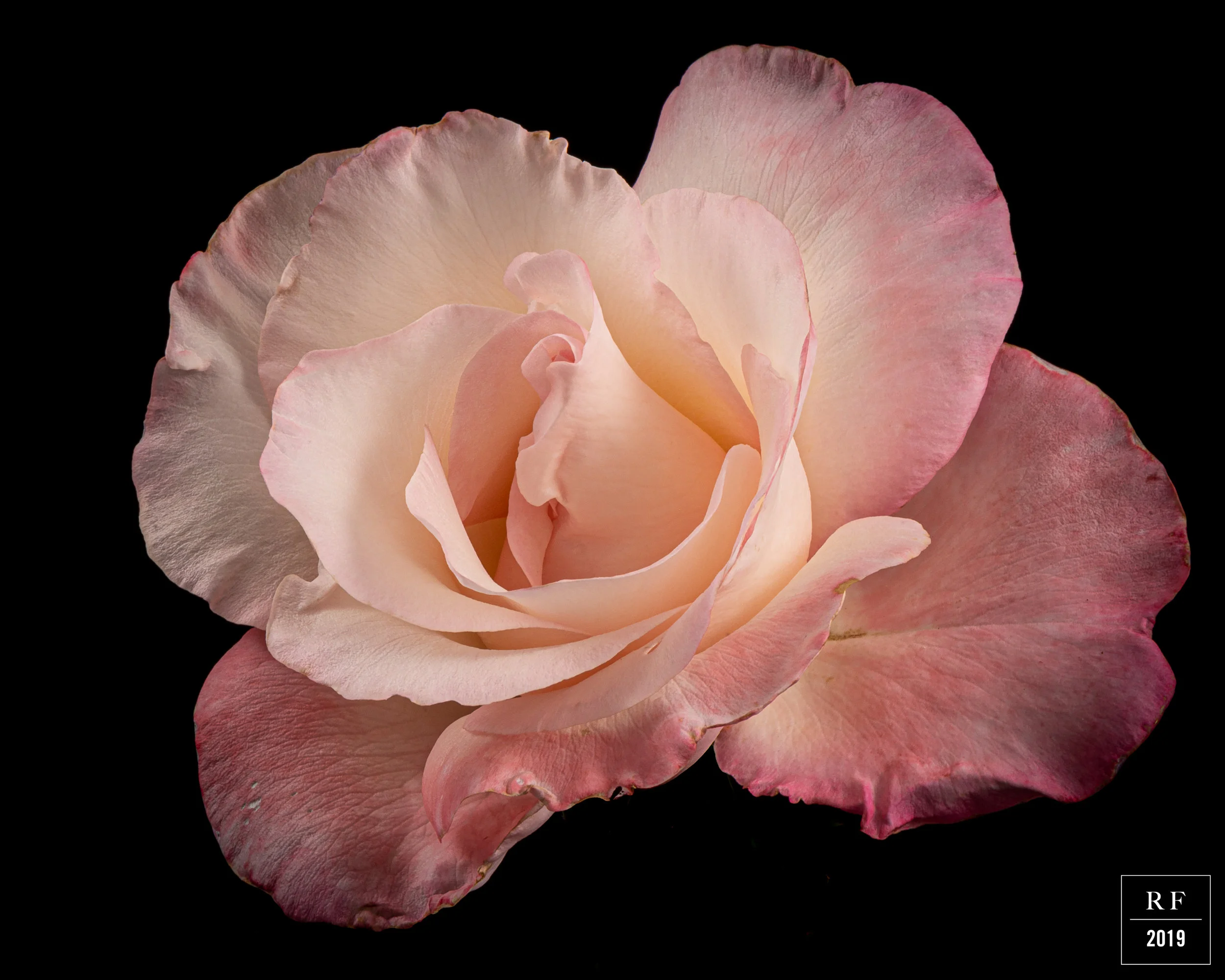 _DSC8109-Enhanced.jpg
