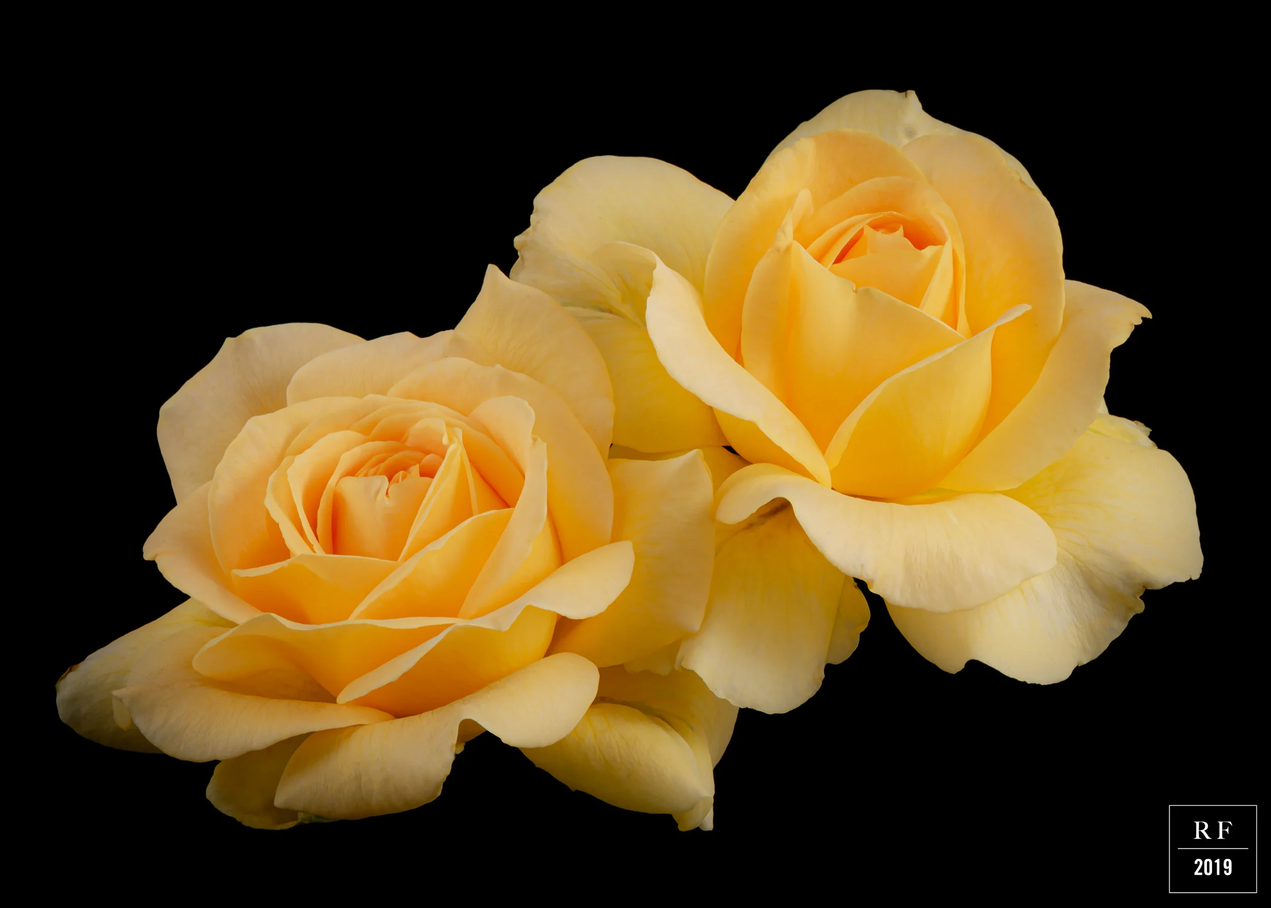 _DSC8196-Enhanced.jpg