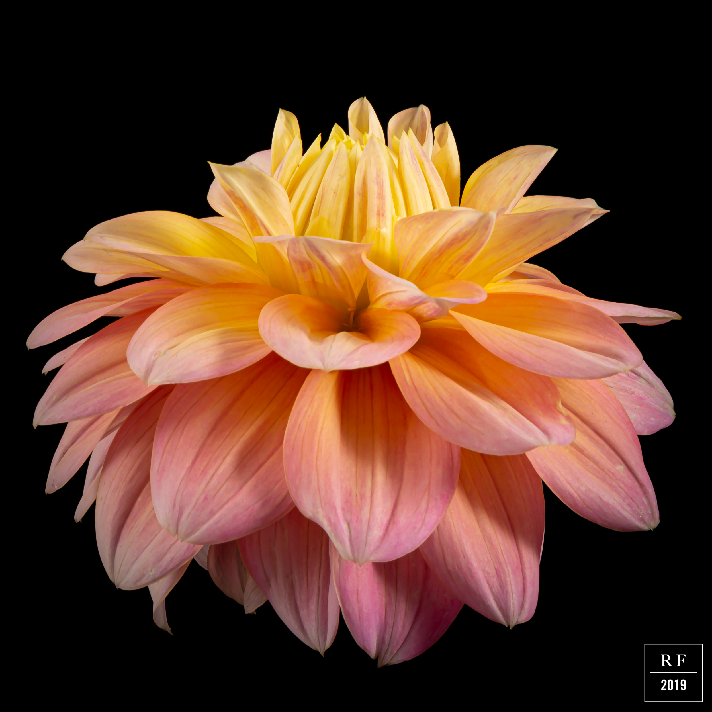 _DSC8273-Enhanced.png