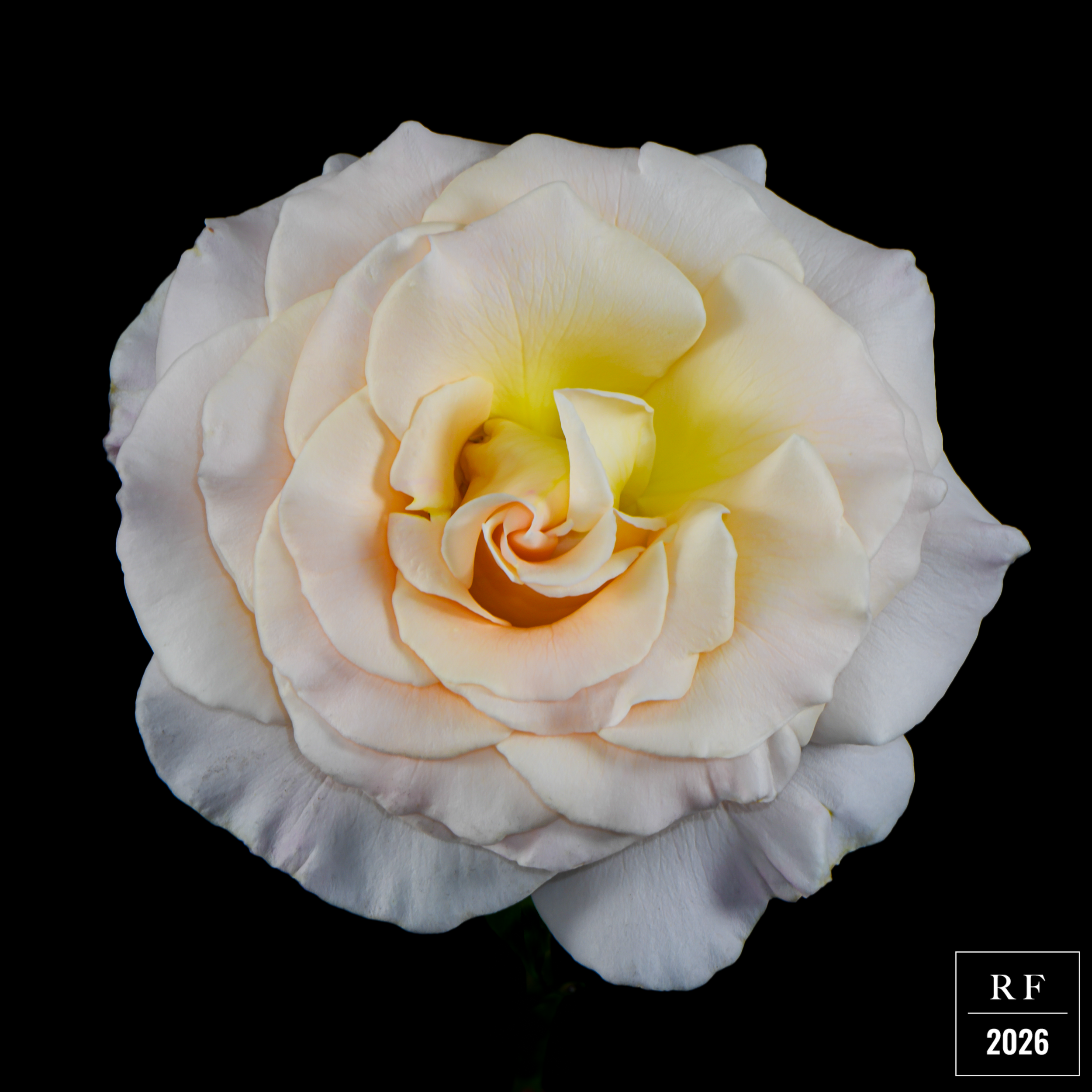 DSC_1466.png