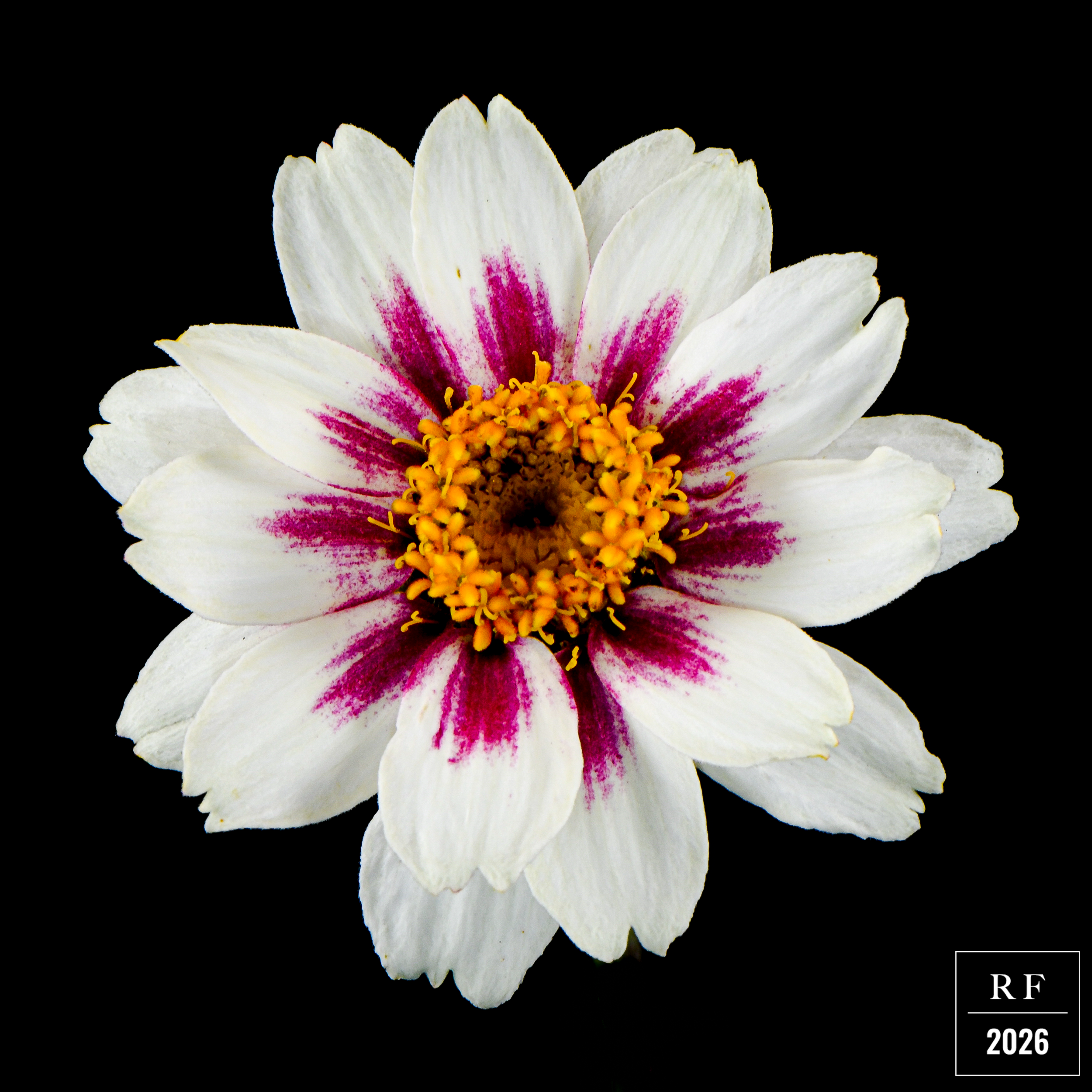 DSC_1472.png