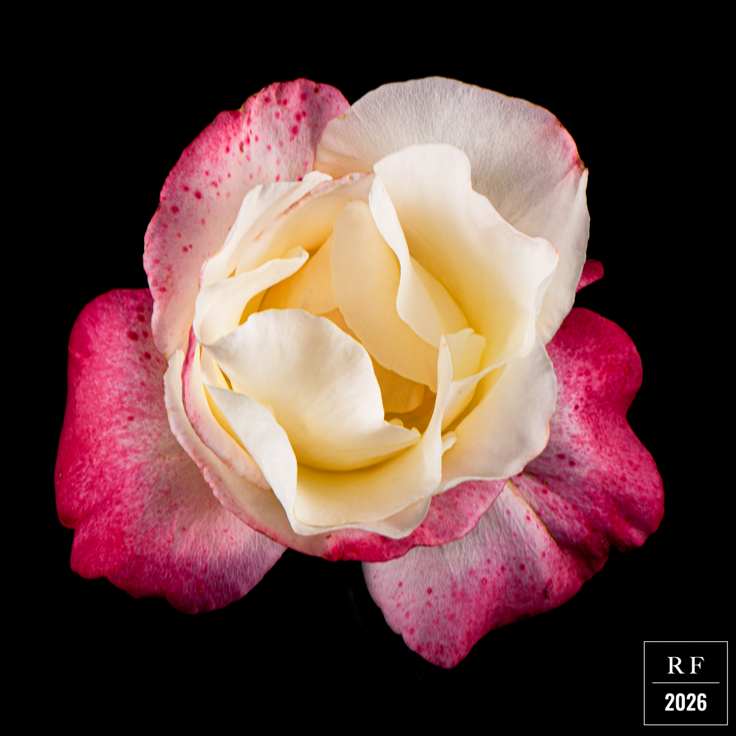 DSC_1487.png