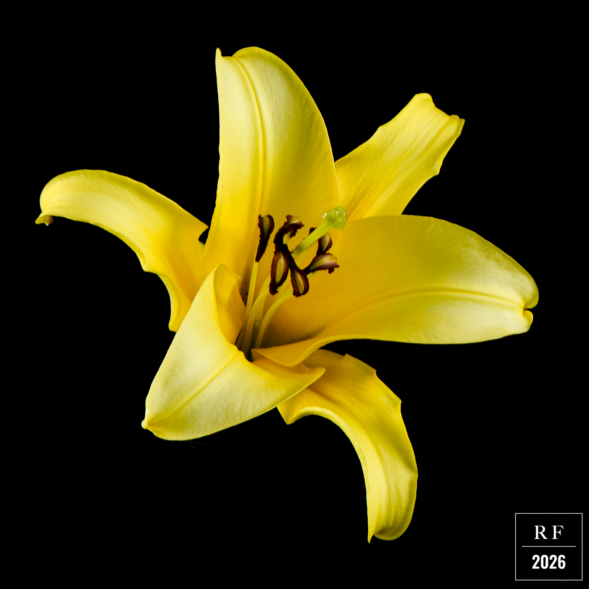 DSC_1499.png