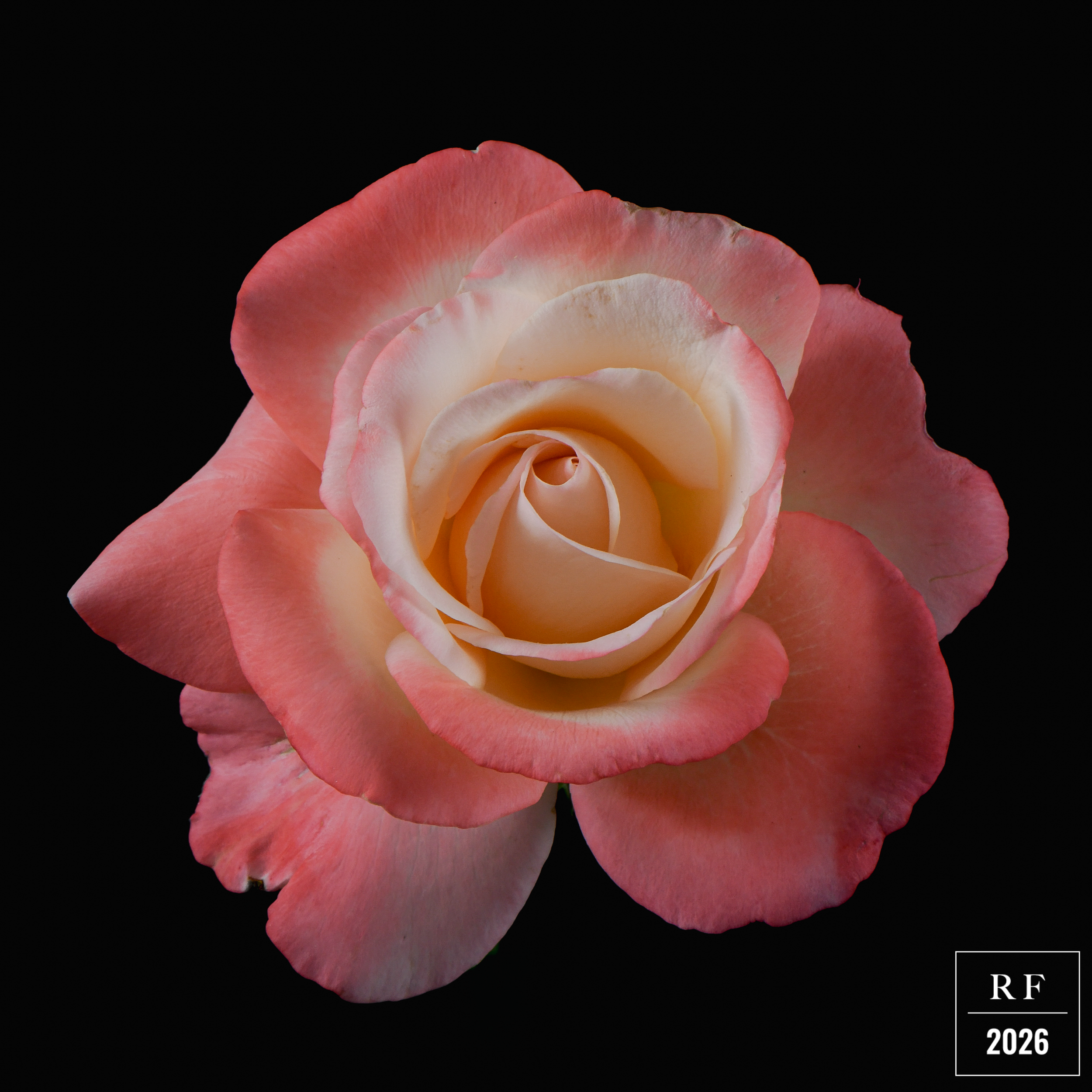 DSC_1515.png