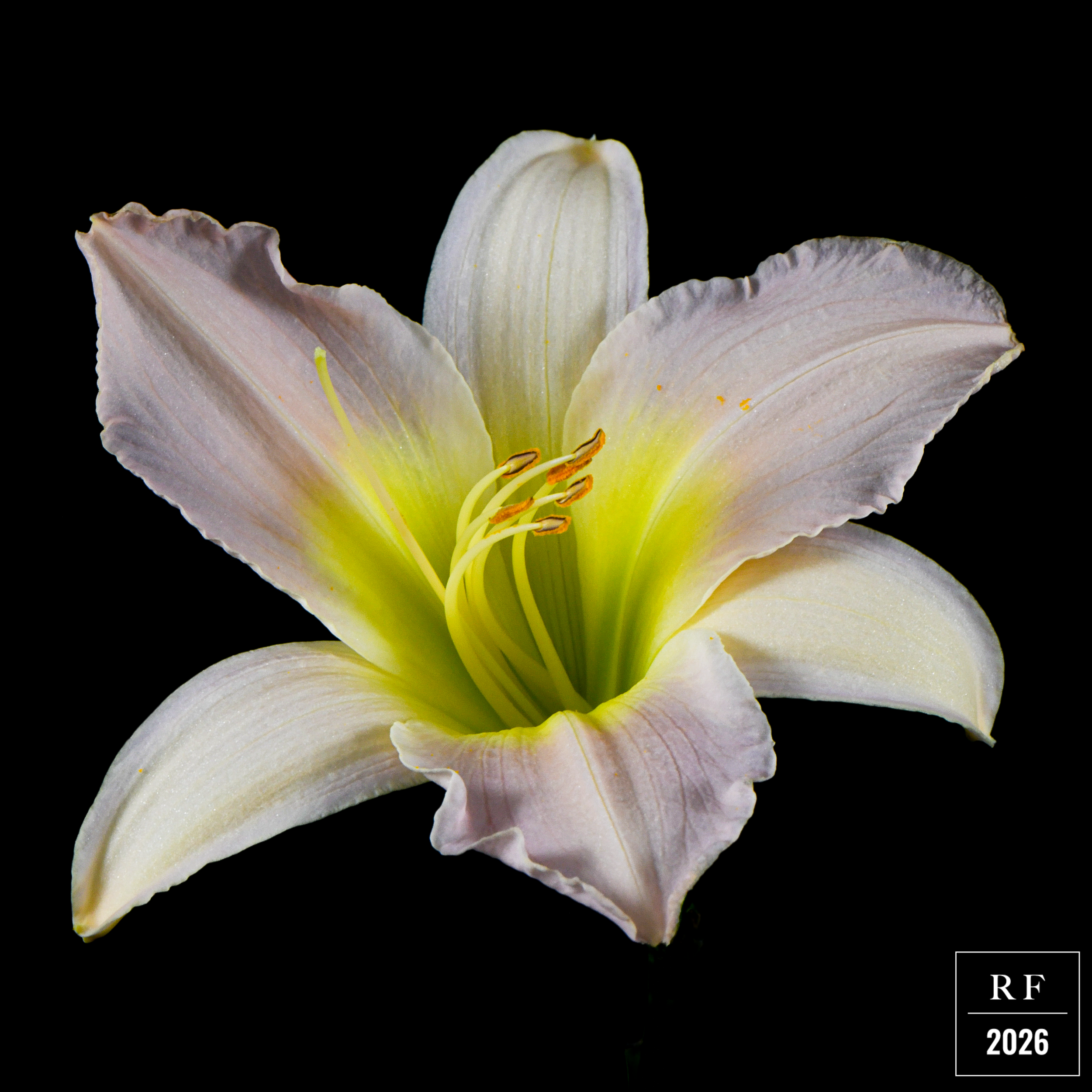 DSC_1518.png