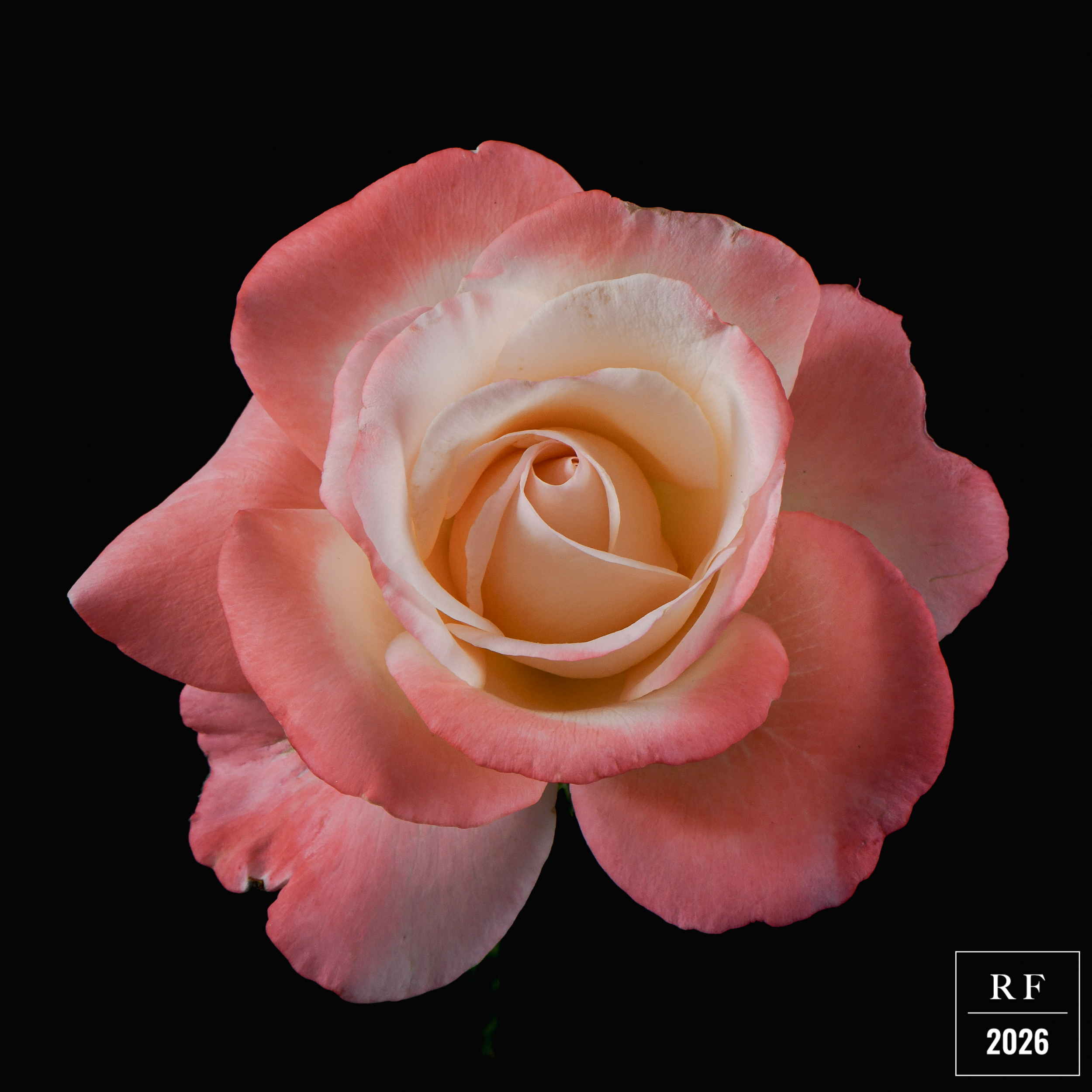 DSC_1515.png