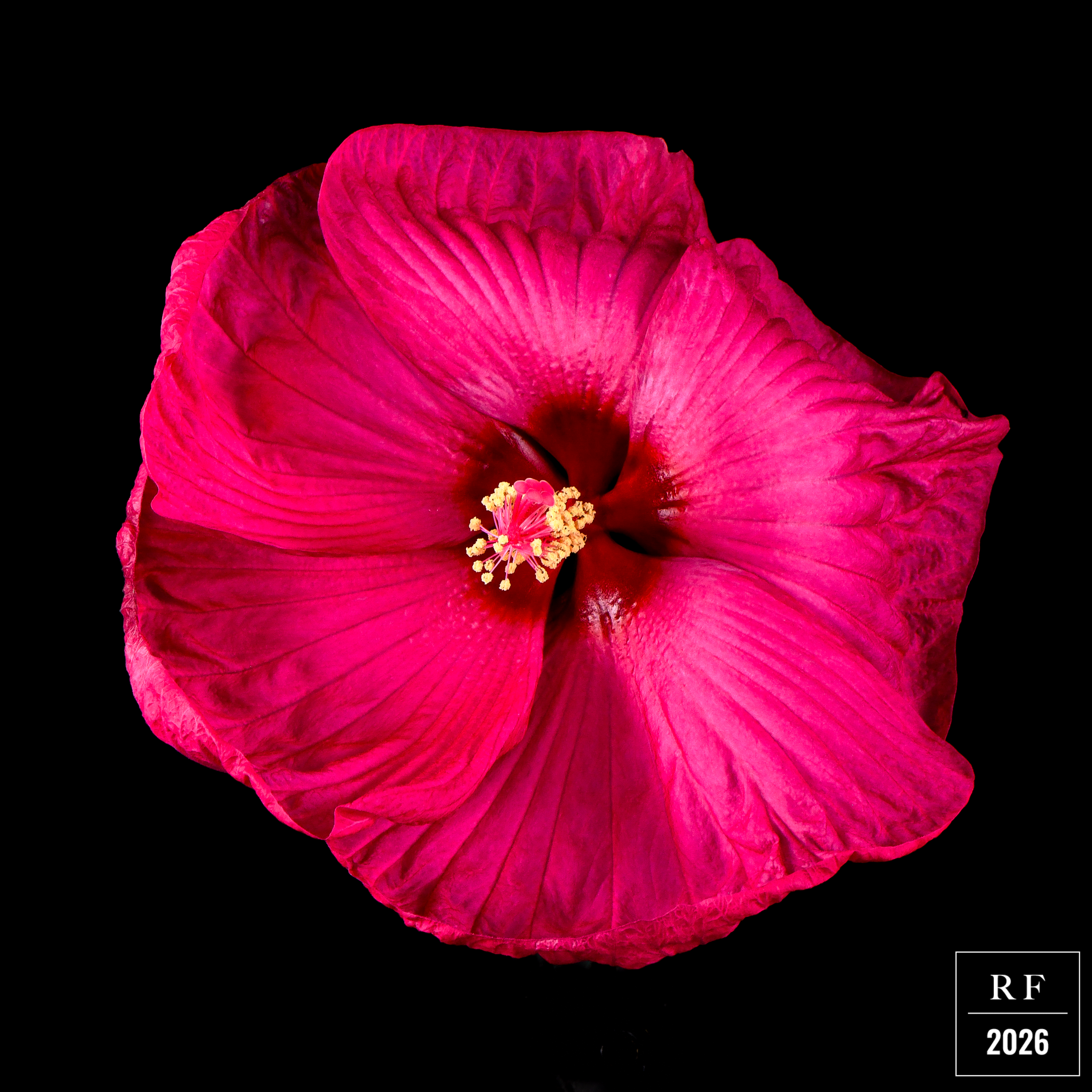 DSC_1523.png