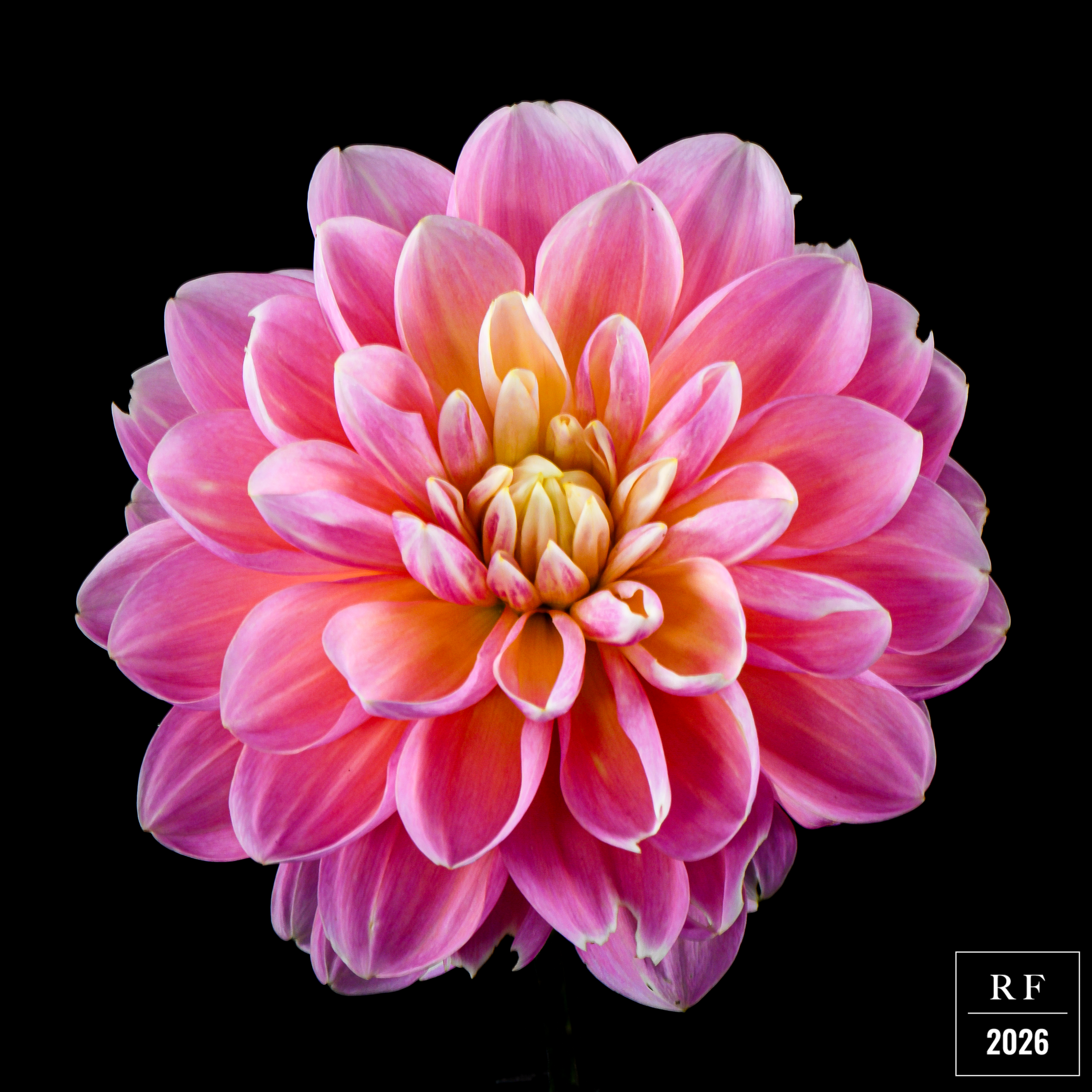 DSC_1545.png