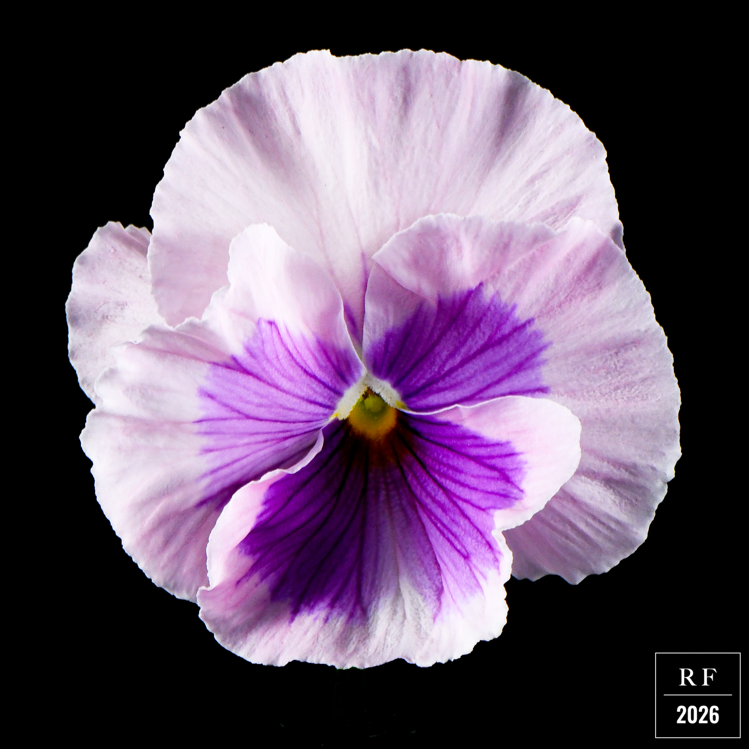 DSC_1556.png