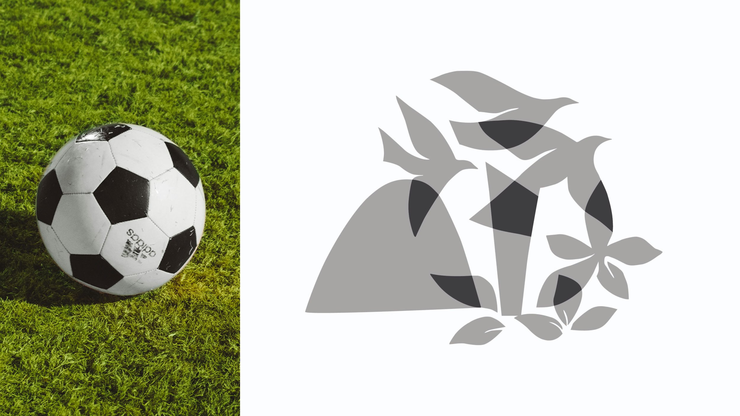FIFA 6.jpg