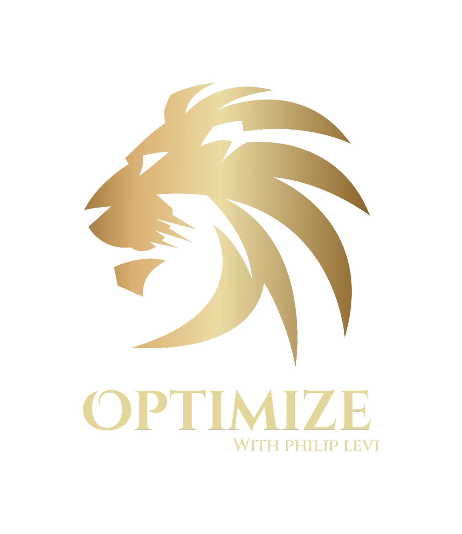 Optimize 