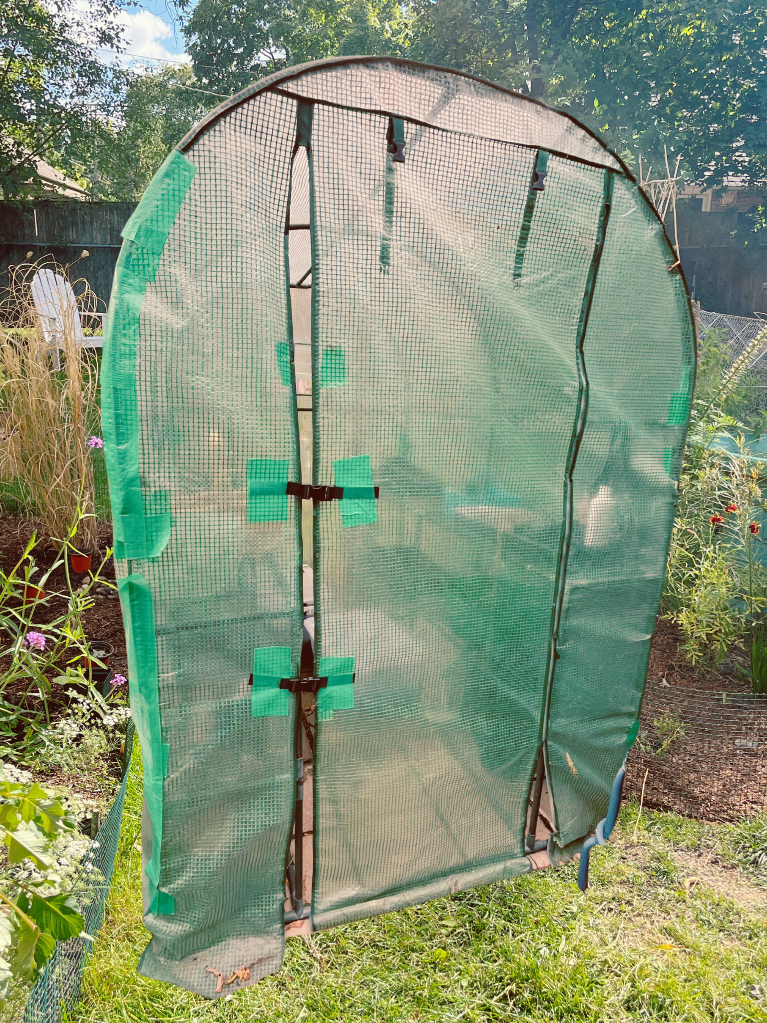 5 Reasons not to have a greenhouse in Chicago.&nbsp; And the real reasons I still have one.