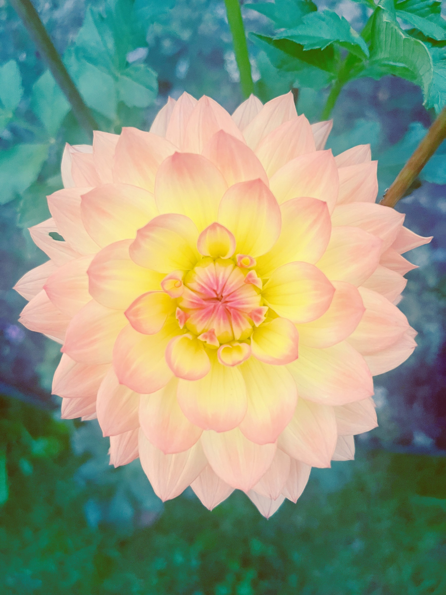 Untitled design 35.PNG