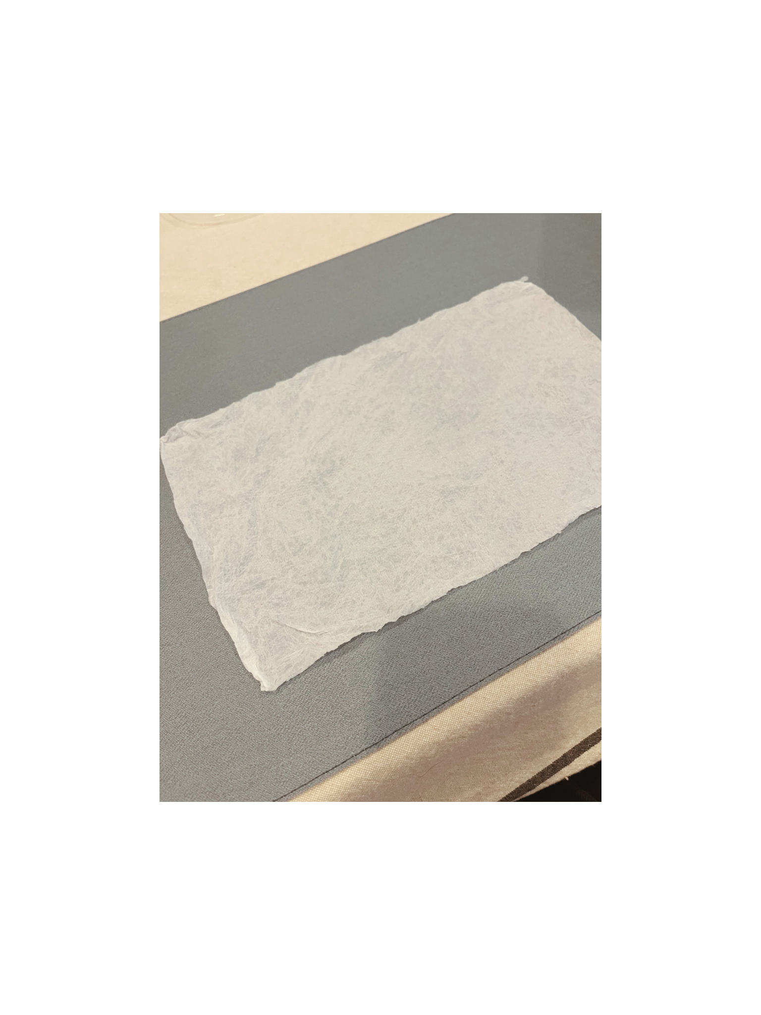 Untitled design - 11.PNG