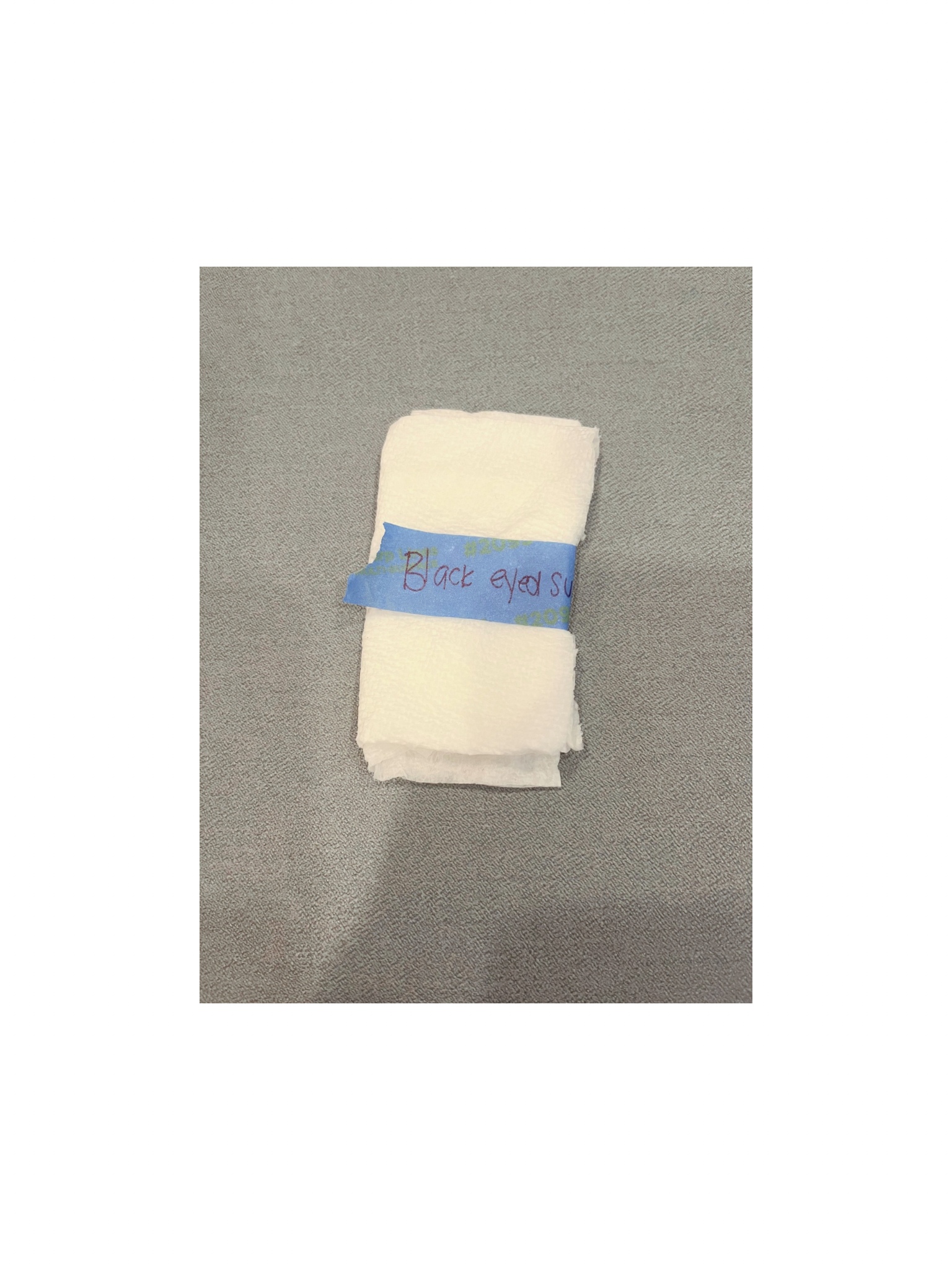 Untitled design - 9.PNG