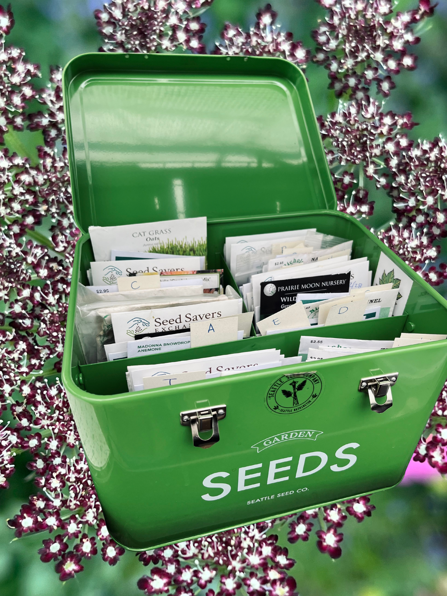 Seed Sowing 101