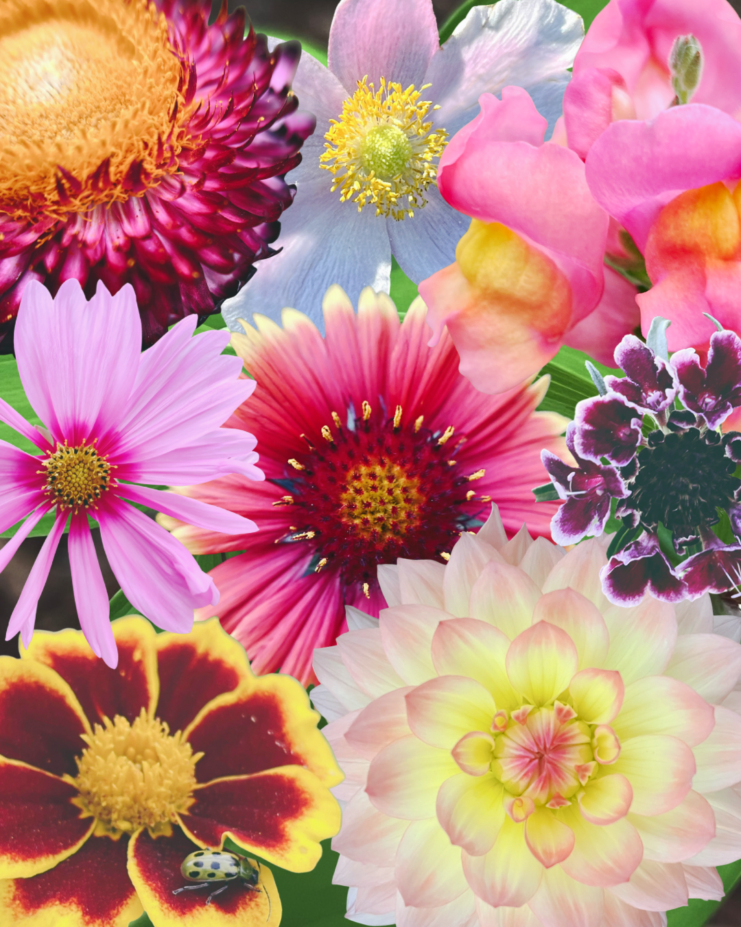 The Brutality of Gardening