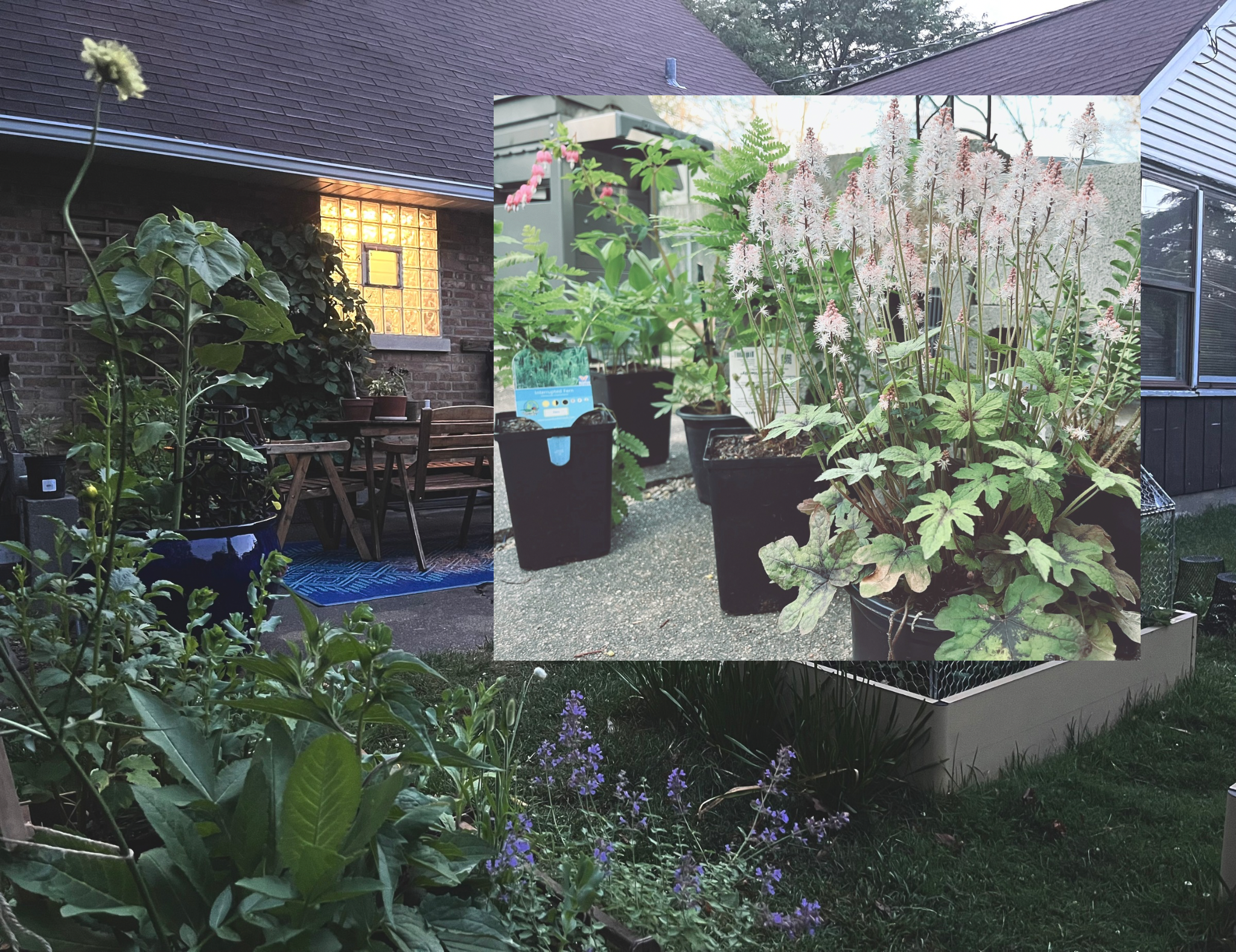 Let’s Spend All Our Money and Dignity at the Garden Center. 