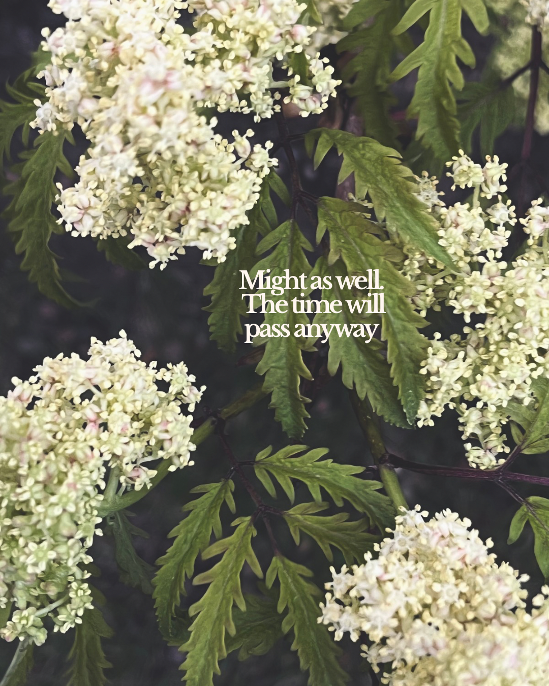 Might as well. The time will pass anyway.