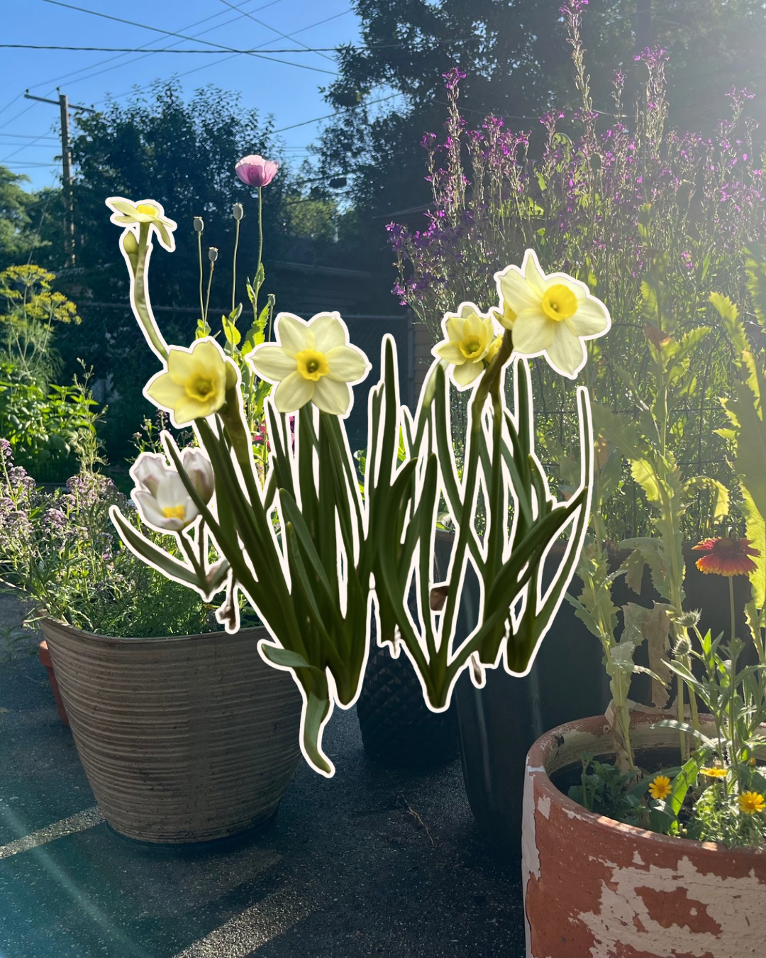 You’re not bad at gardening…