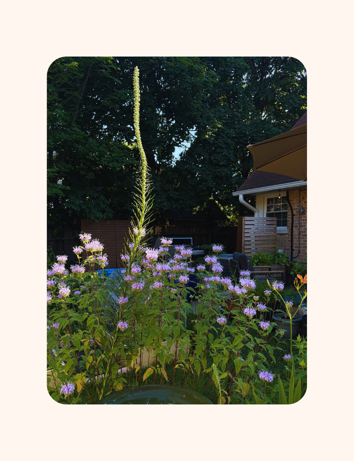 How to Garden Your Own Way
