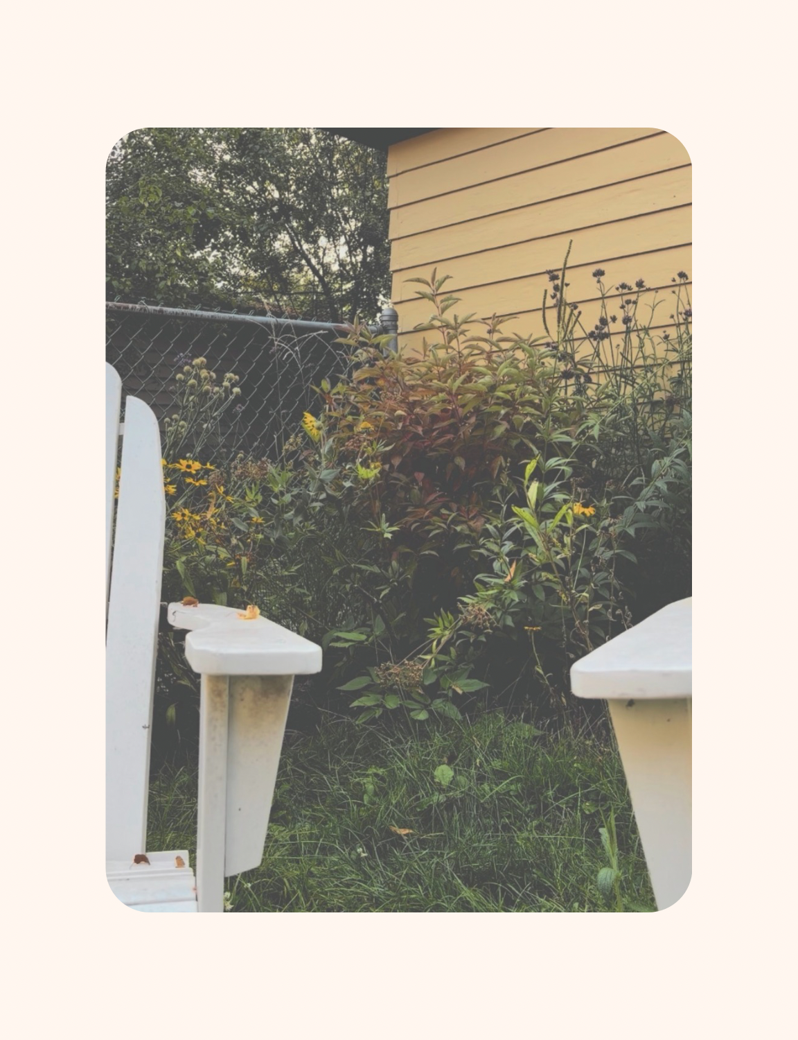A case for boring plants