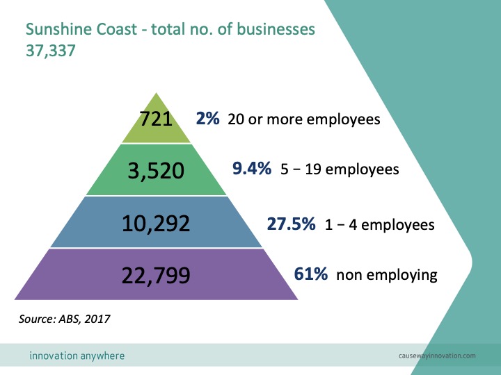 Example: SMEs by size, Sunshine Coast, Australia