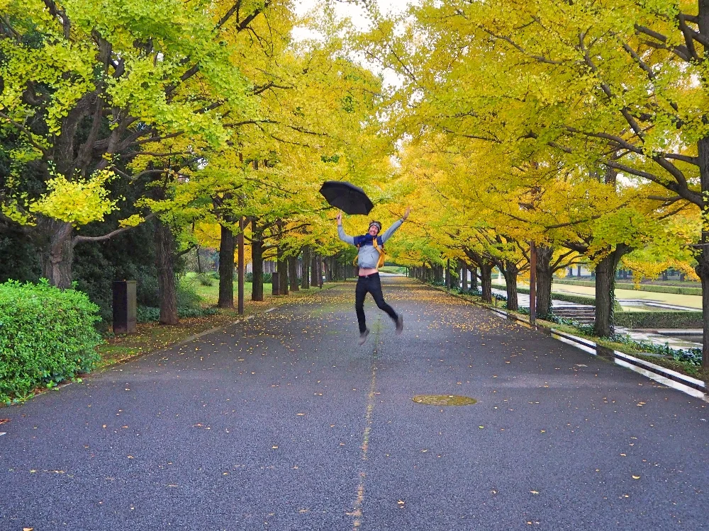 Jumping photos are hard, but those leaves are worth a few takes.