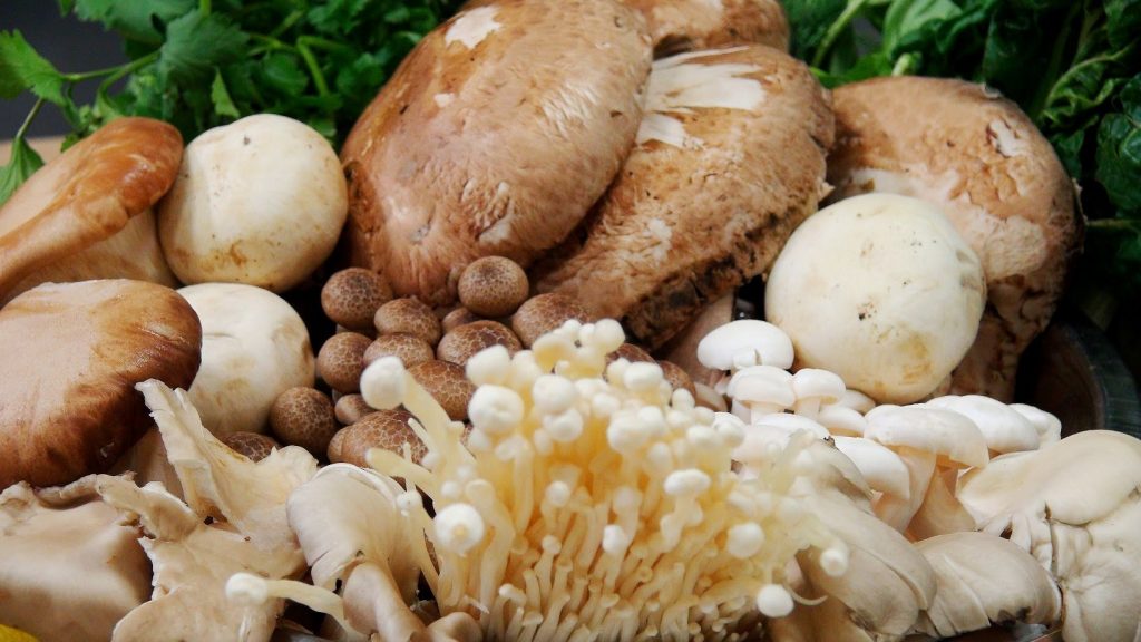 What Are The Best Vitamin B12 Sources For Vegetarians Thrive Natural Health