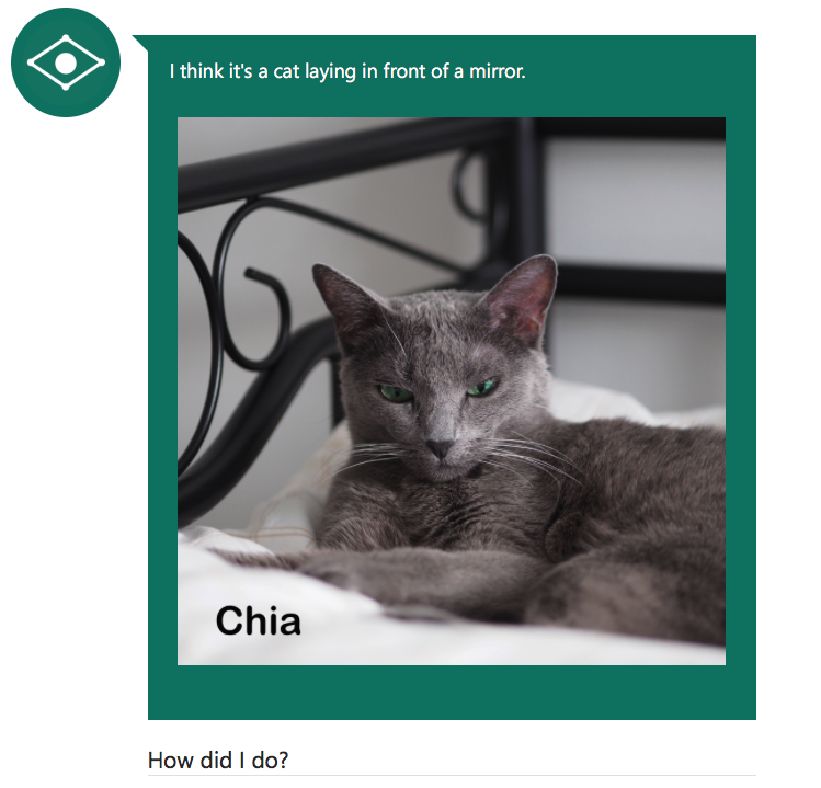 Chia_001.png