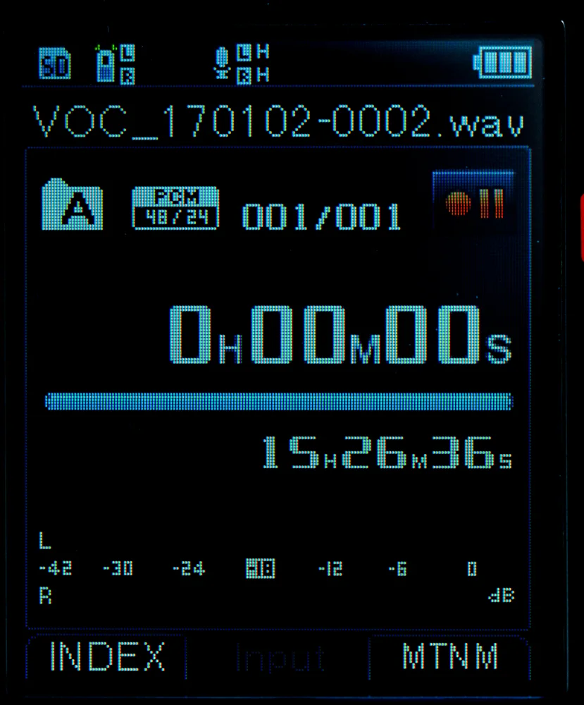 LS-100 has a color LCD.