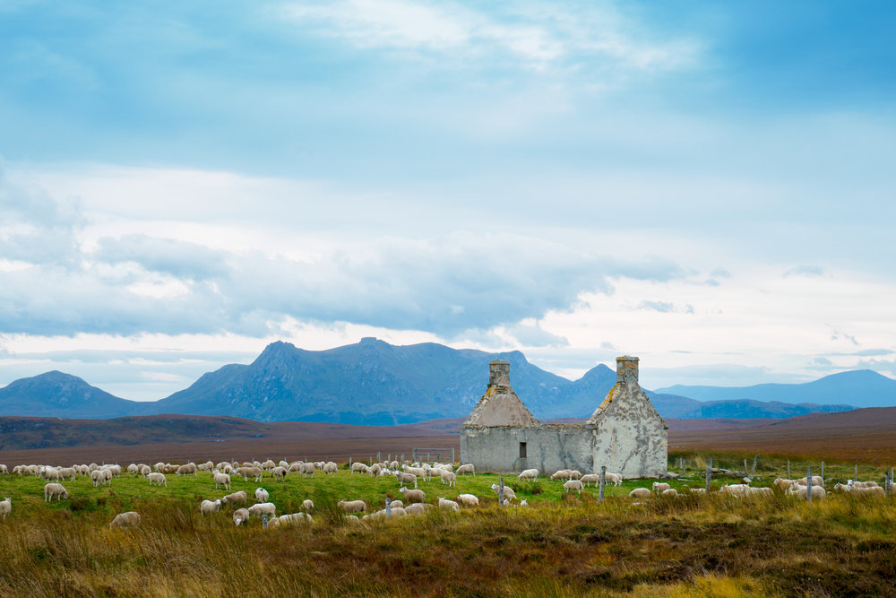 Moine Ho, Scotland, 1/250 f5.0, Olympus OMD EM-5 MKII, M.Zuiko 30mm f3.5