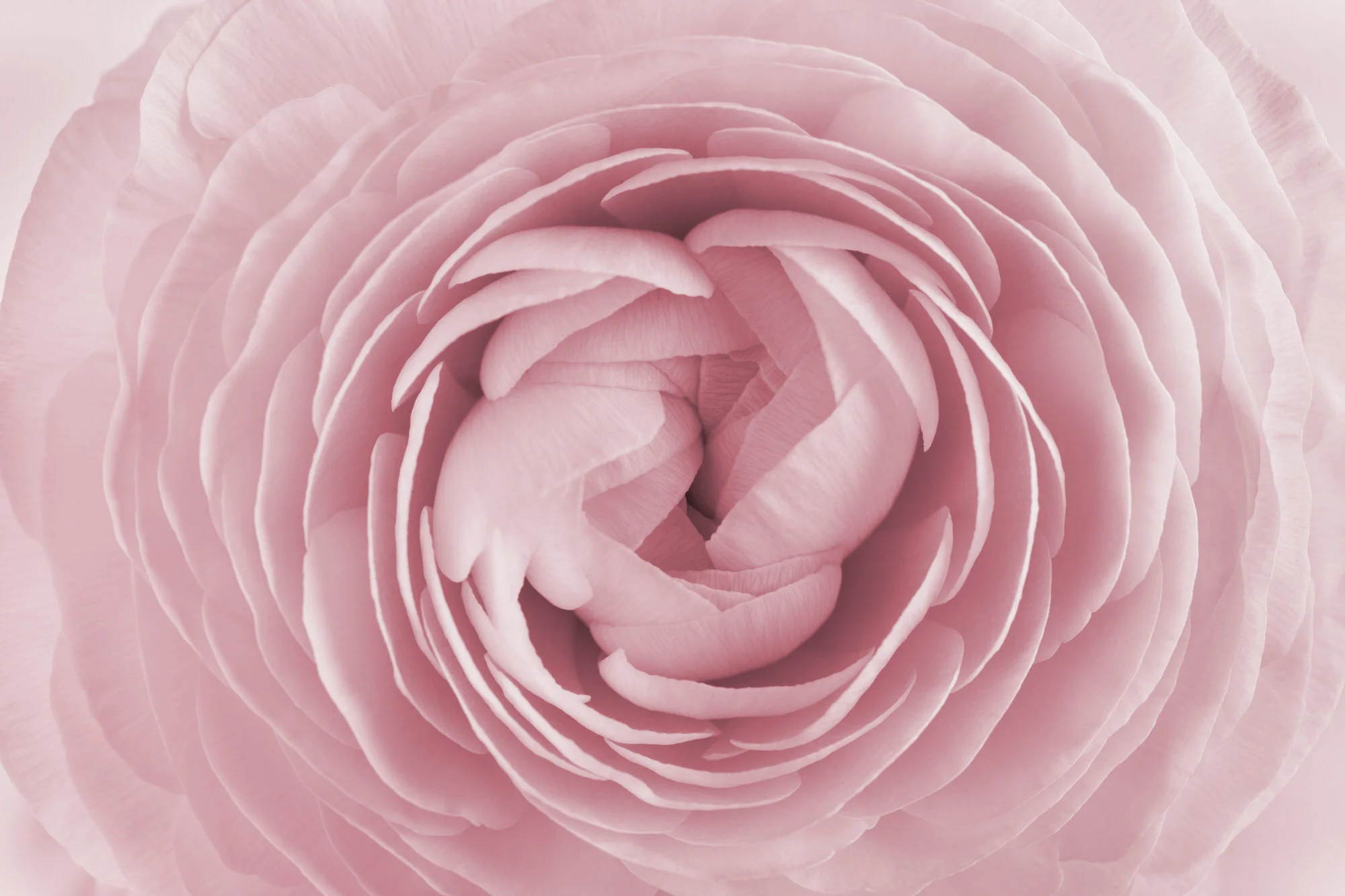 iStock-512278810-1.jpg